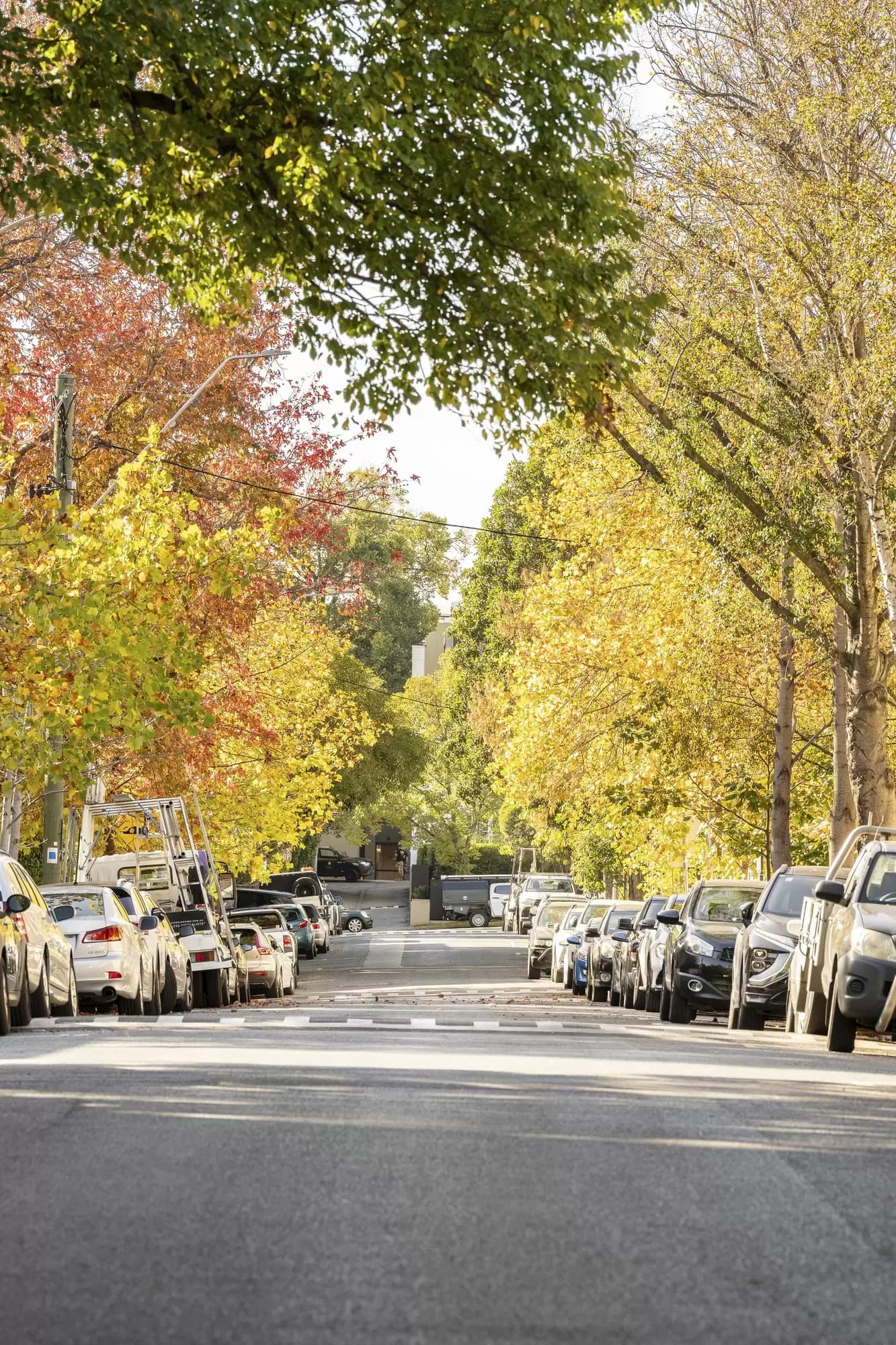 6 & 8-10 Marne Street, South Yarra, South Yarra - Thumbnail 5