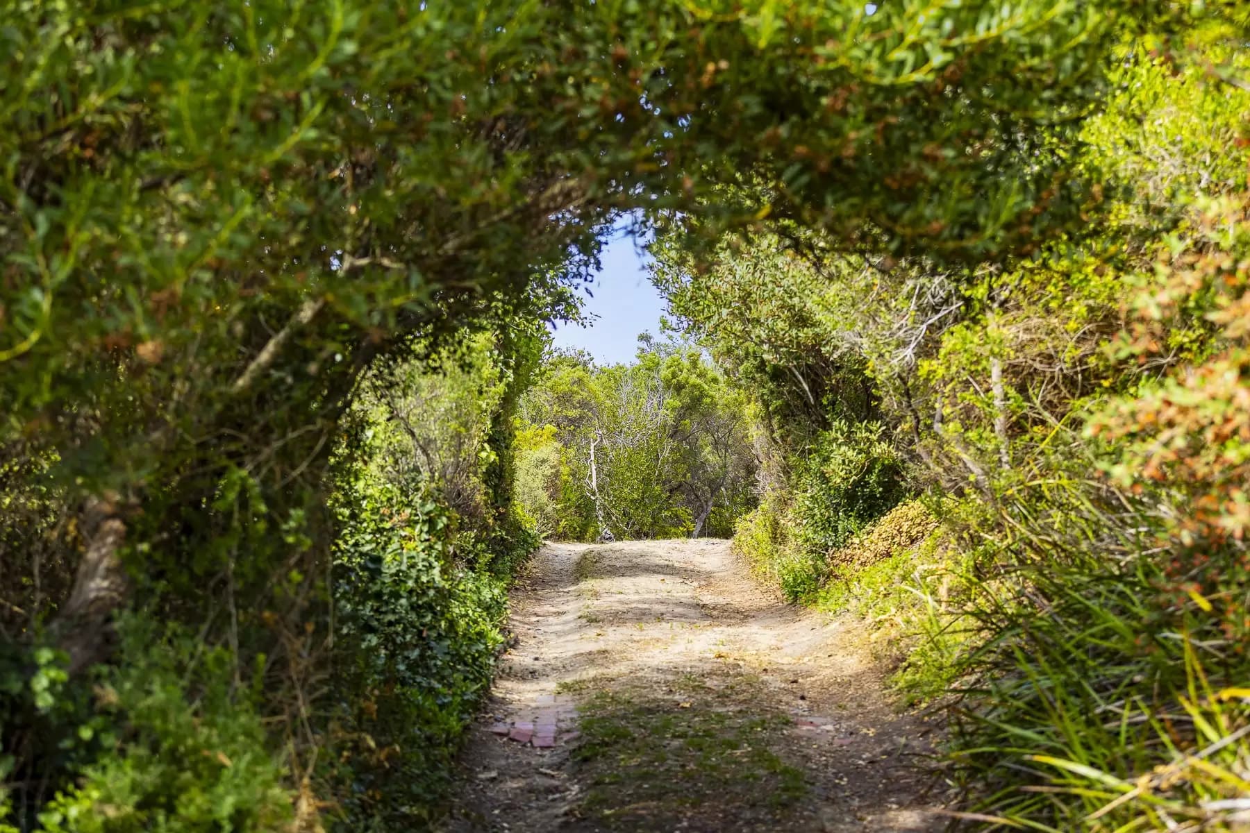 15-21 Mirino Street, Blairgowrie, Blairgowrie - Thumbnail 5