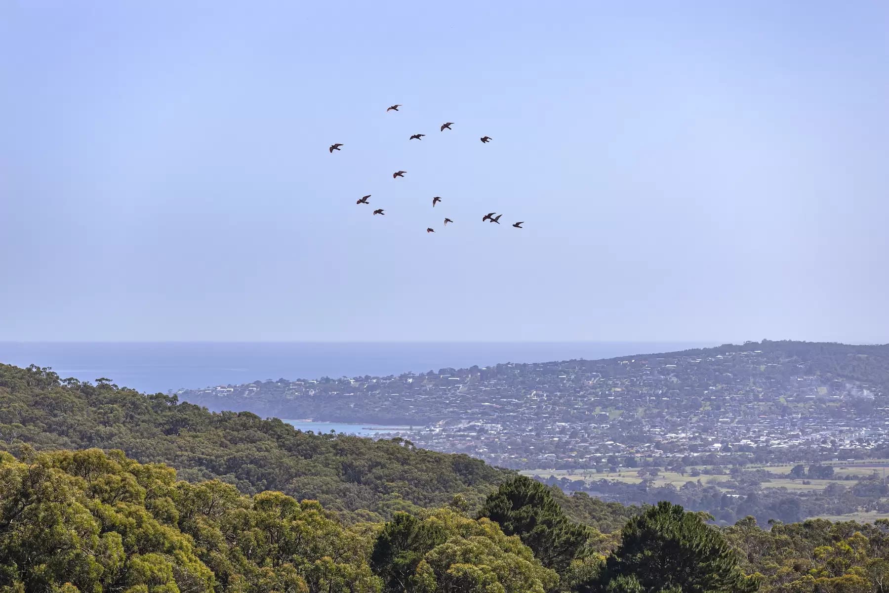 98 Sheehans Road, Red Hill, Red Hill - Thumbnail 4