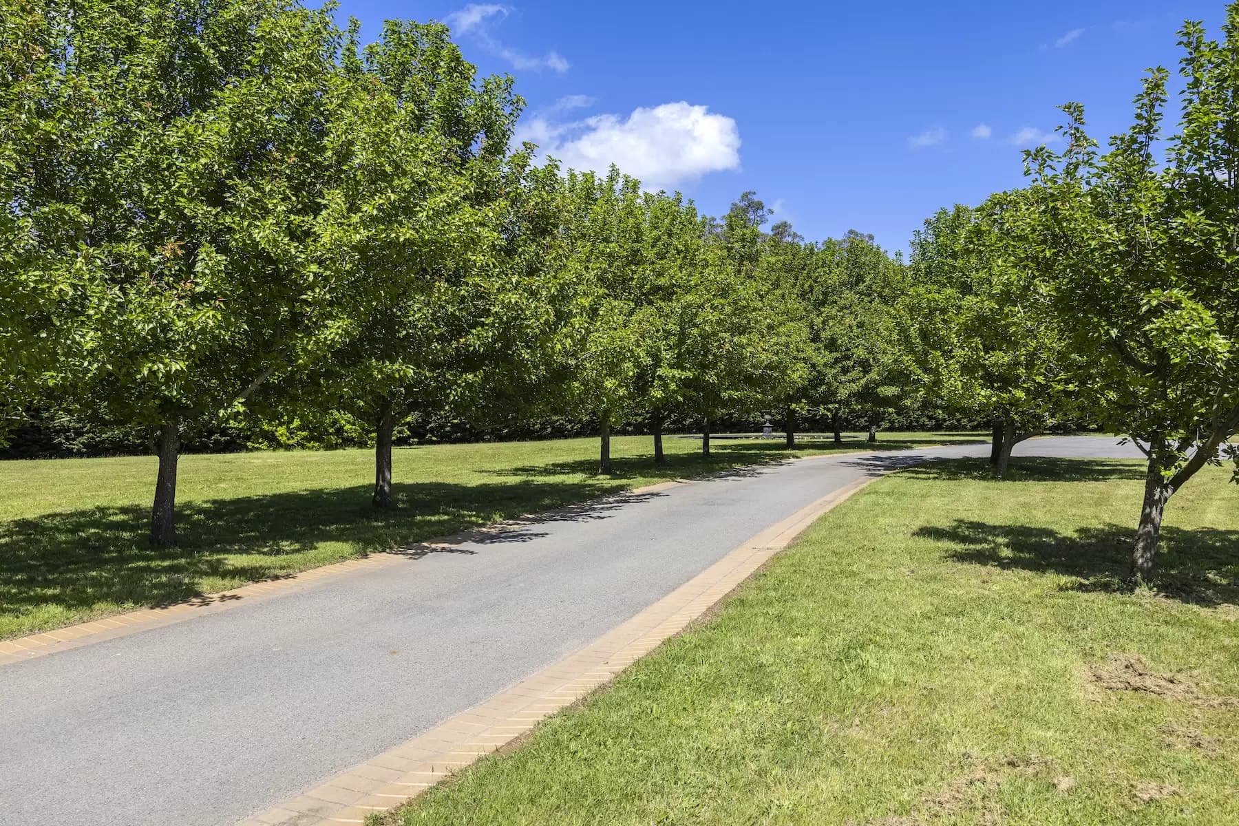 98 Sheehans Road, Red Hill, Red Hill - Thumbnail 5