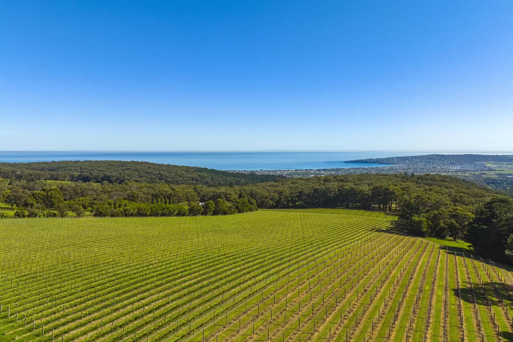 Lot Lot 1, 2 & 3, 376-396 Arthurs Seat Road, Red Hill, Red Hill - Thumbnail 4