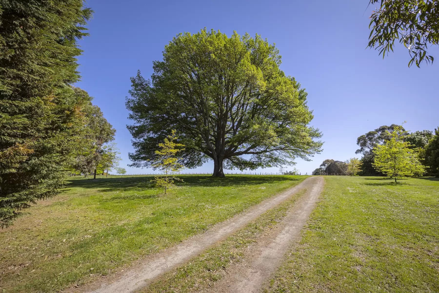 Lot Lot 1, 2 & 3, 376-396 Arthurs Seat Road, Red Hill, Red Hill - Thumbnail 5
