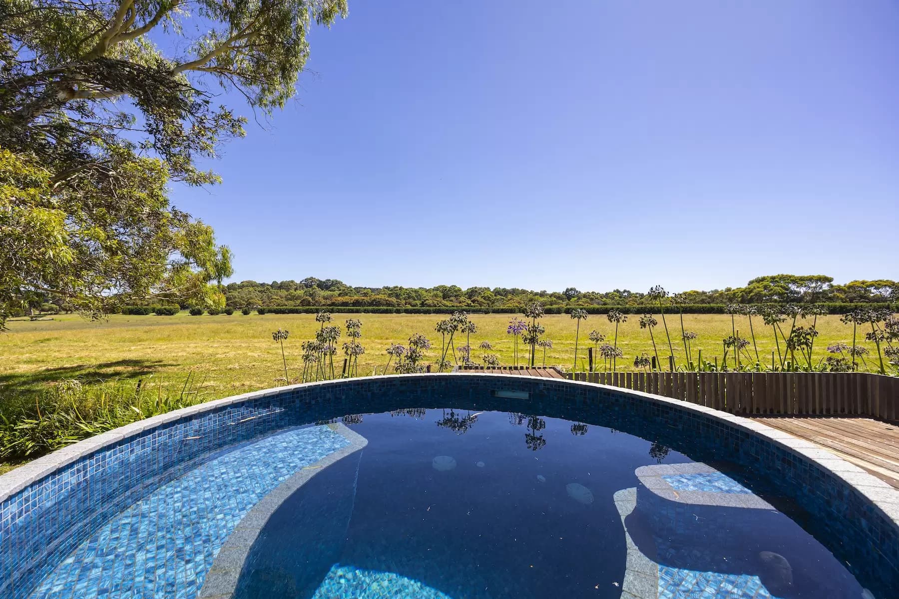 7 Rest Drive, Flinders, Flinders - Thumbnail 5
