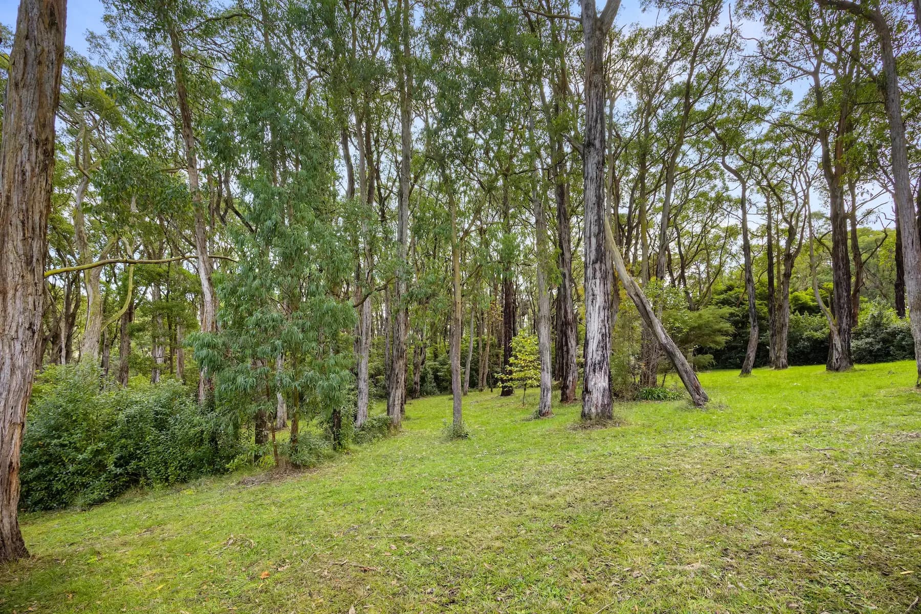 208 Point Leo Road, Red Hill South, Red Hill South - Thumbnail 4