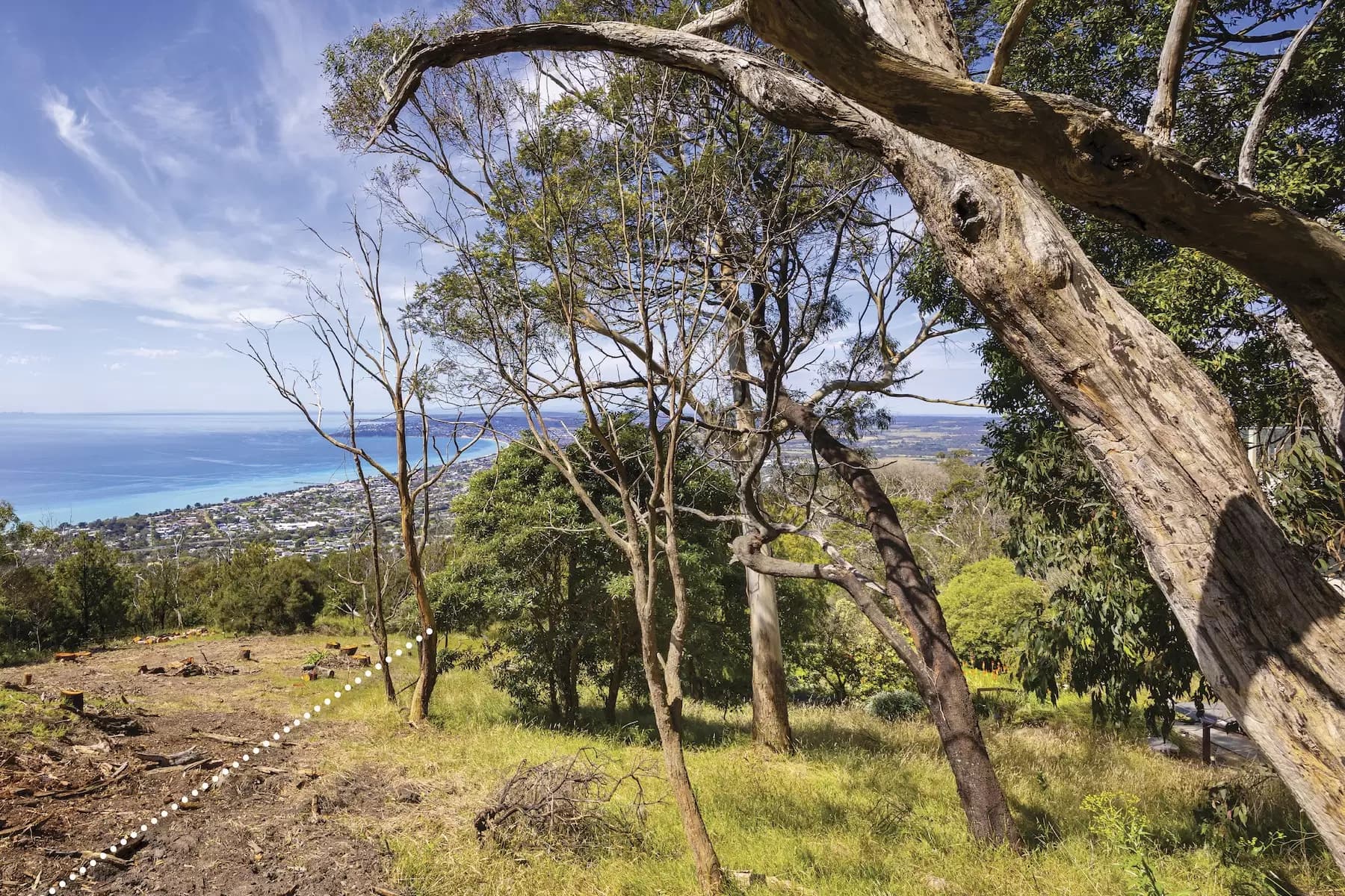 12 Nestle Court, Arthurs Seat, Arthurs Seat - Thumbnail 3