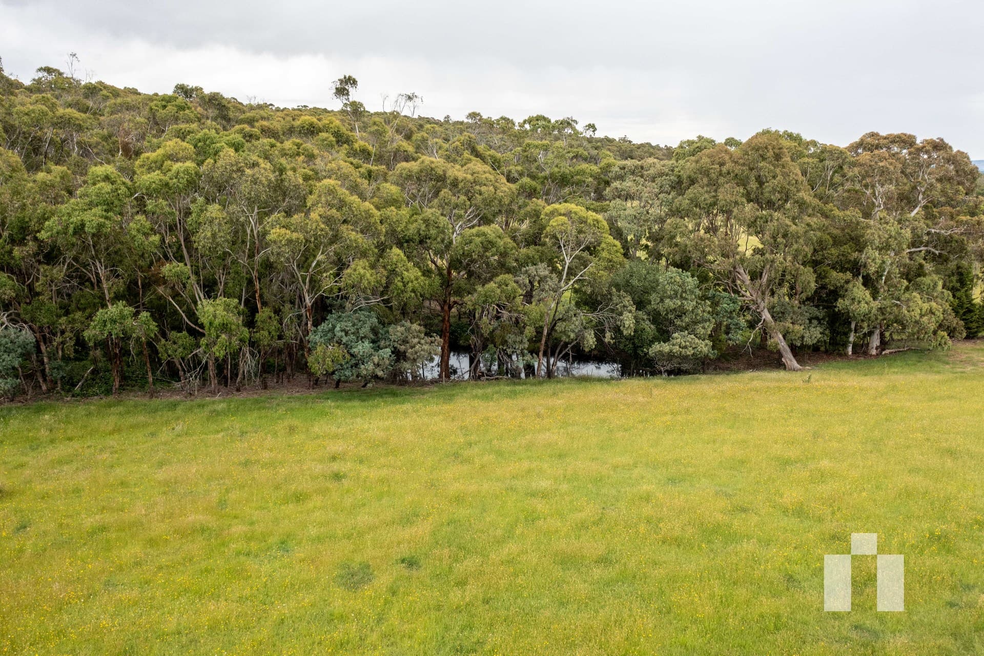 161 Creswick-Dean Road, Dean - Thumbnail 4