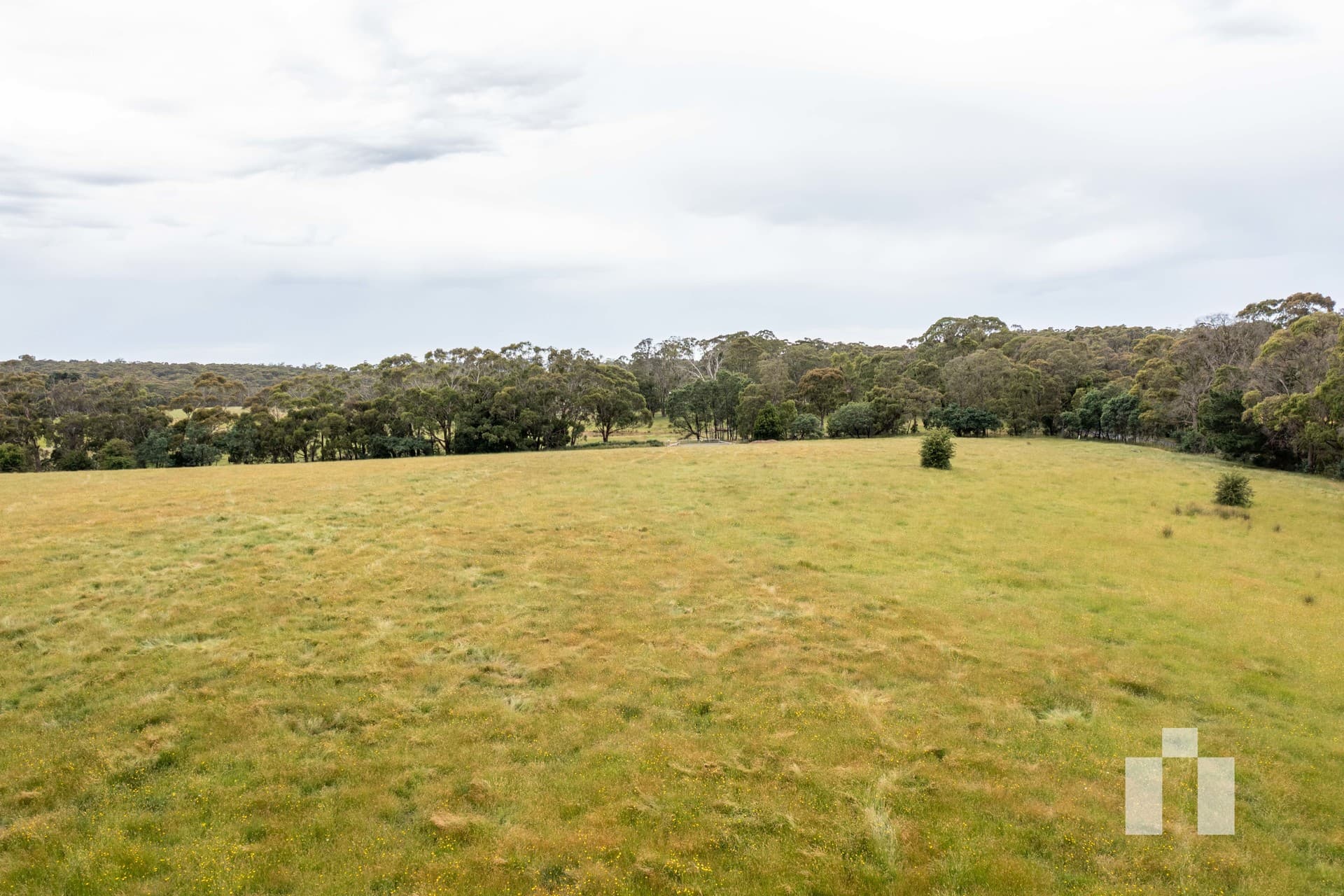 161 Creswick-Dean Road, Dean - Thumbnail 5