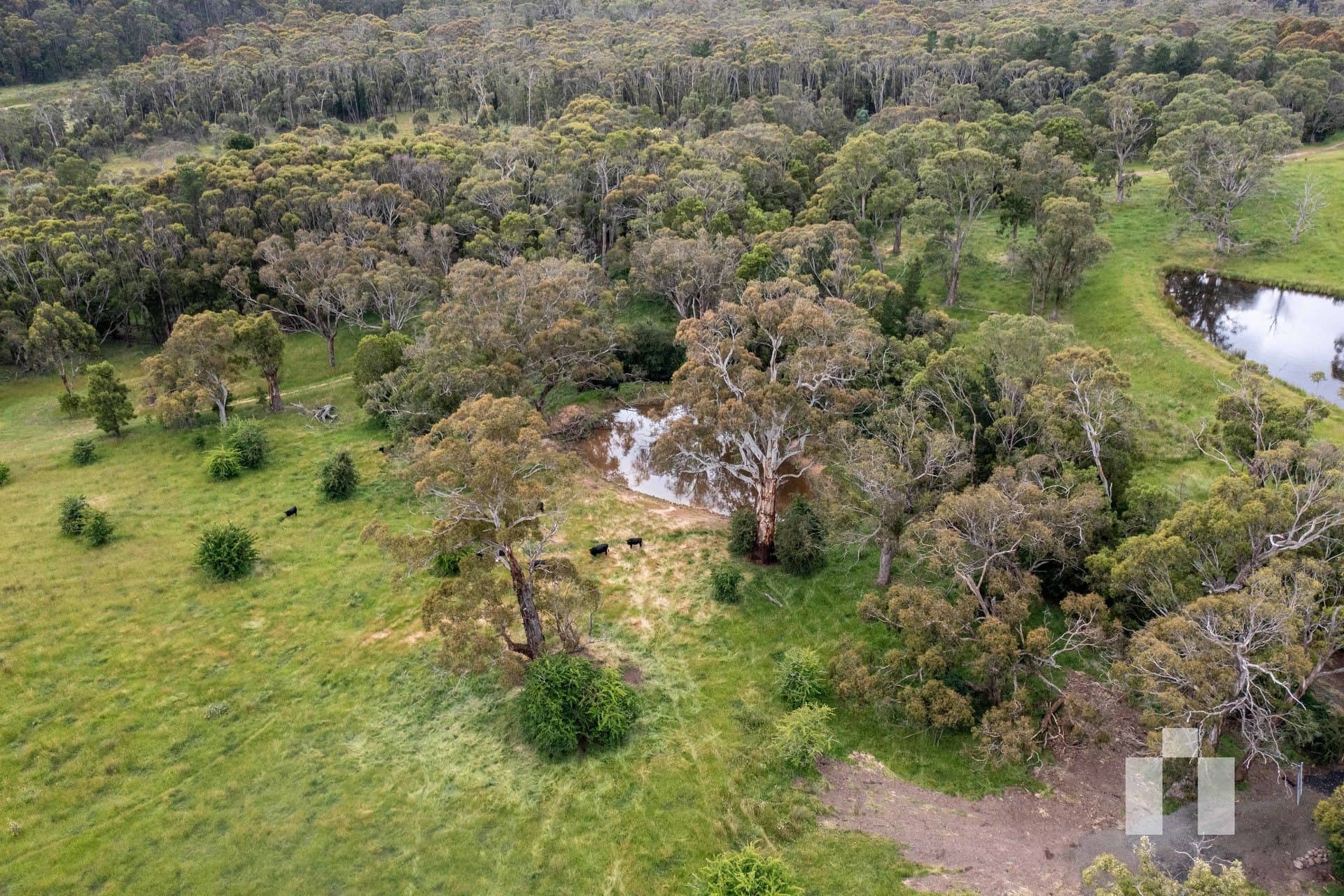 159 Creswick-Dean Road, Dean - Thumbnail 4