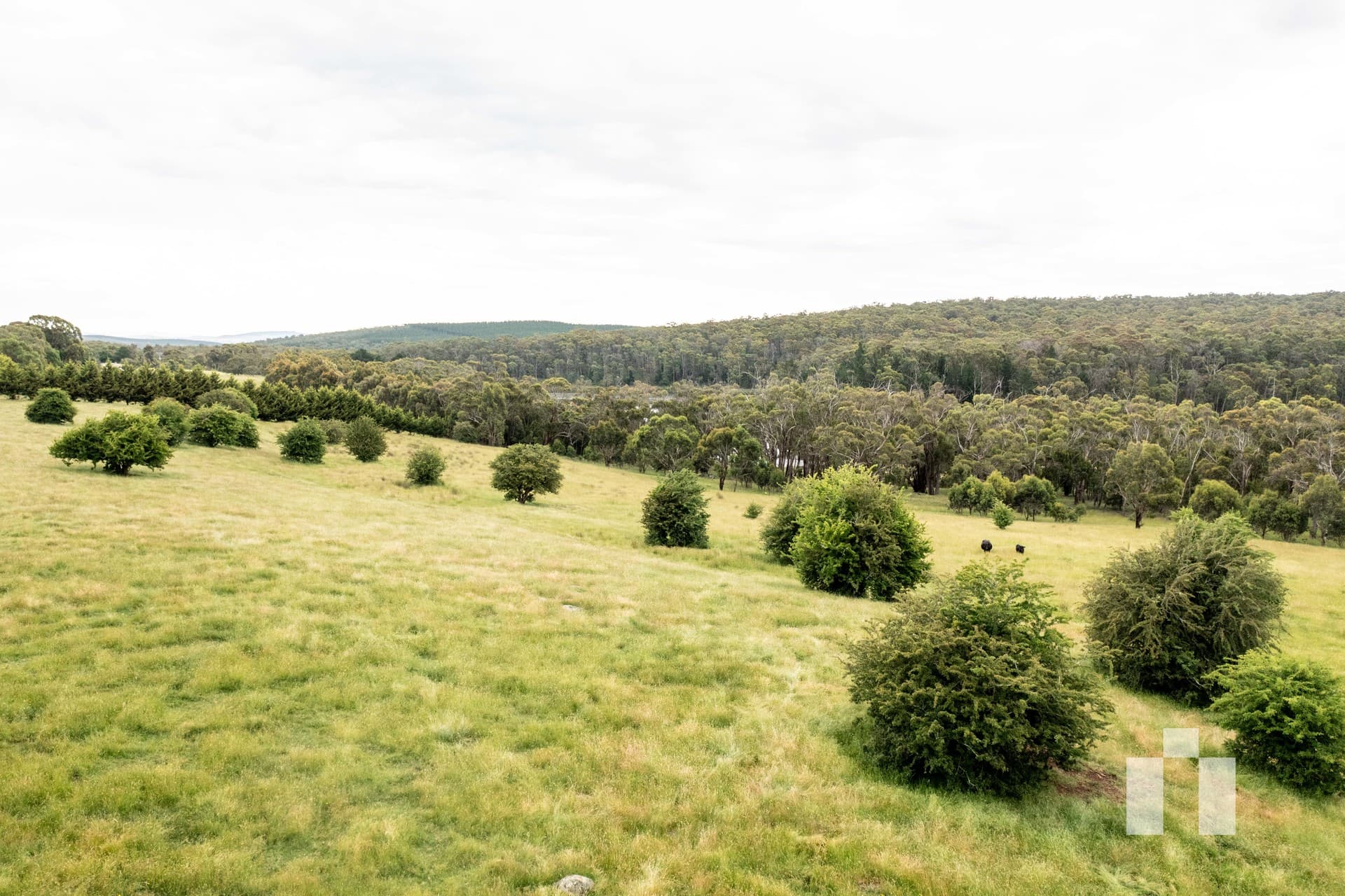 159 Creswick-Dean Road, Dean - Thumbnail 5