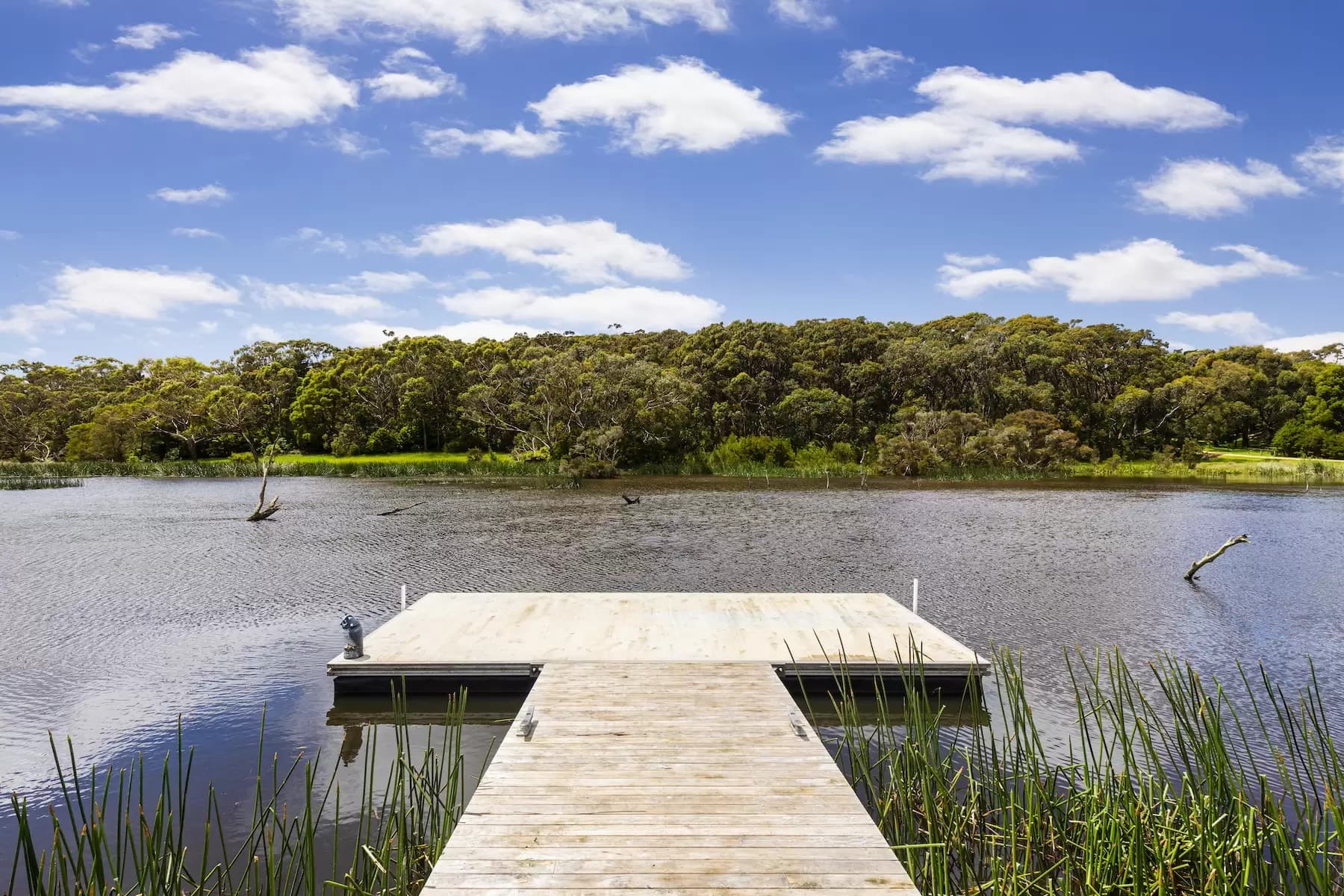 1222 Mornington Flinders Road, Main Ridge, Main Ridge - Thumbnail 5