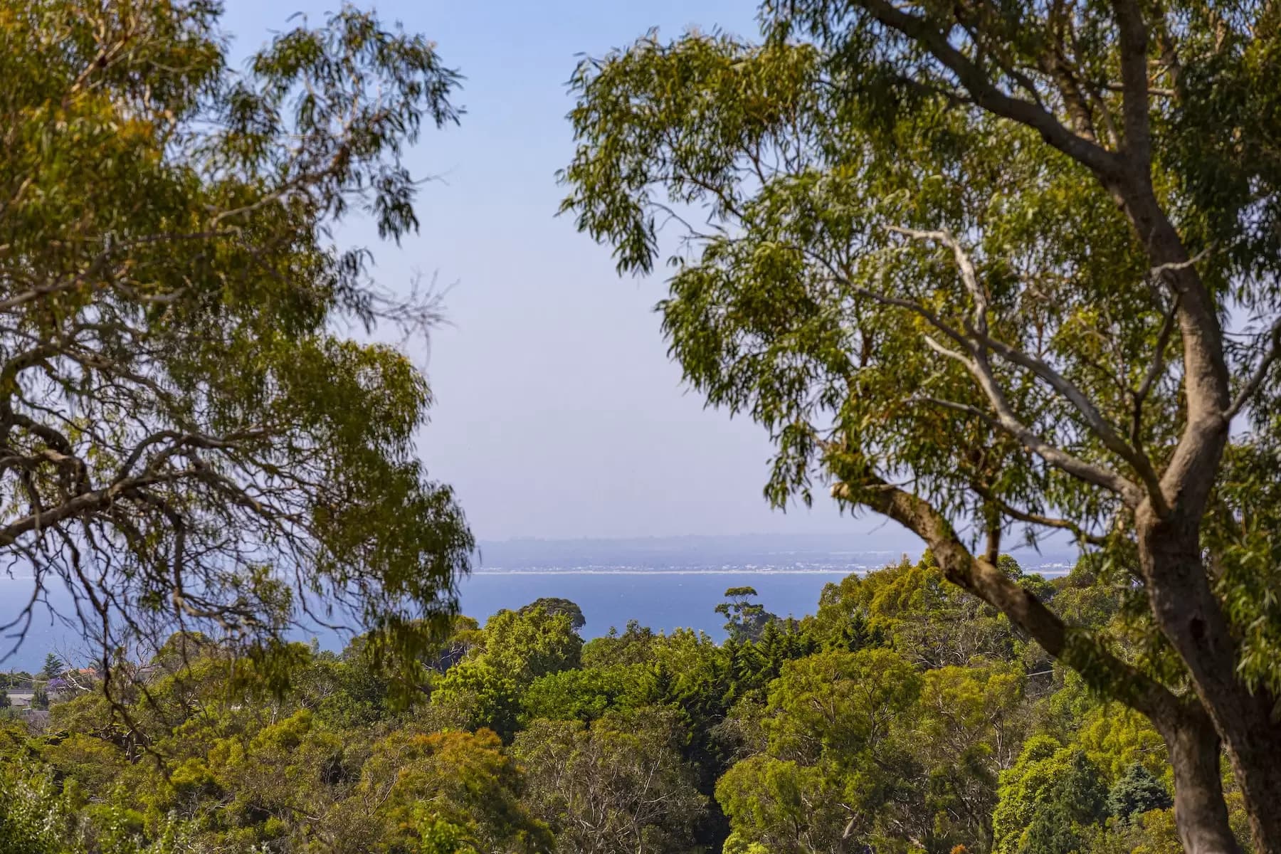 14 Rock Lodge Court, Frankston South, Frankston South - Thumbnail 6