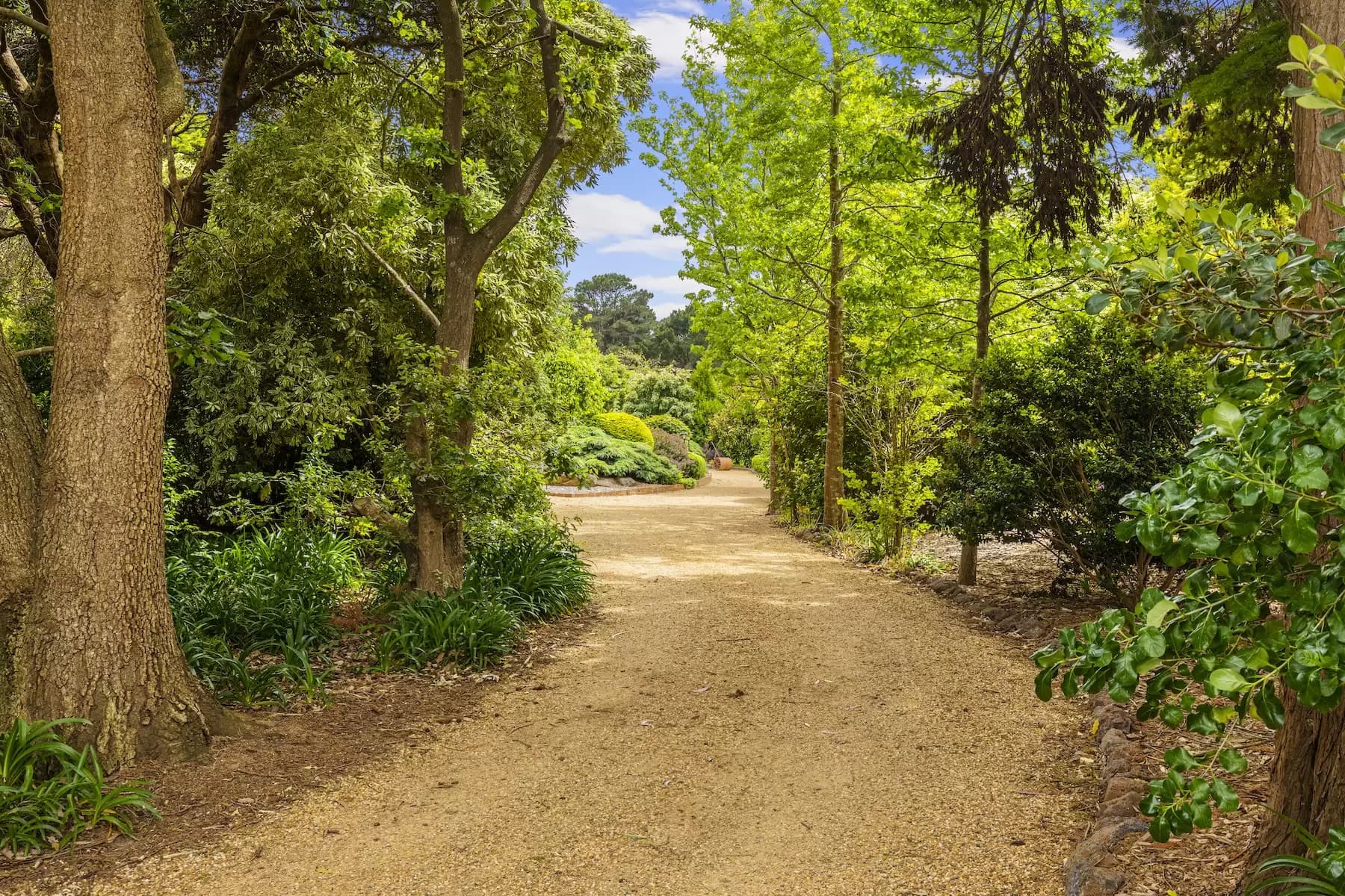 42 Ocean View Avenue, Red Hill South, Red Hill South - Thumbnail 3
