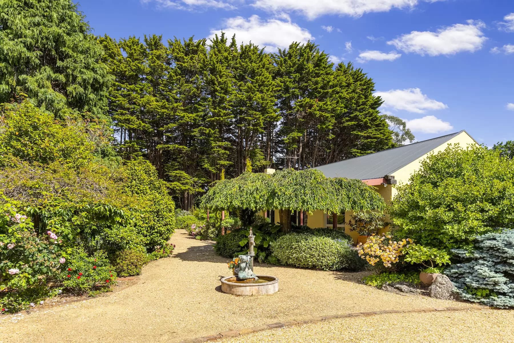 42 Ocean View Avenue, Red Hill South, Red Hill South - Thumbnail 5