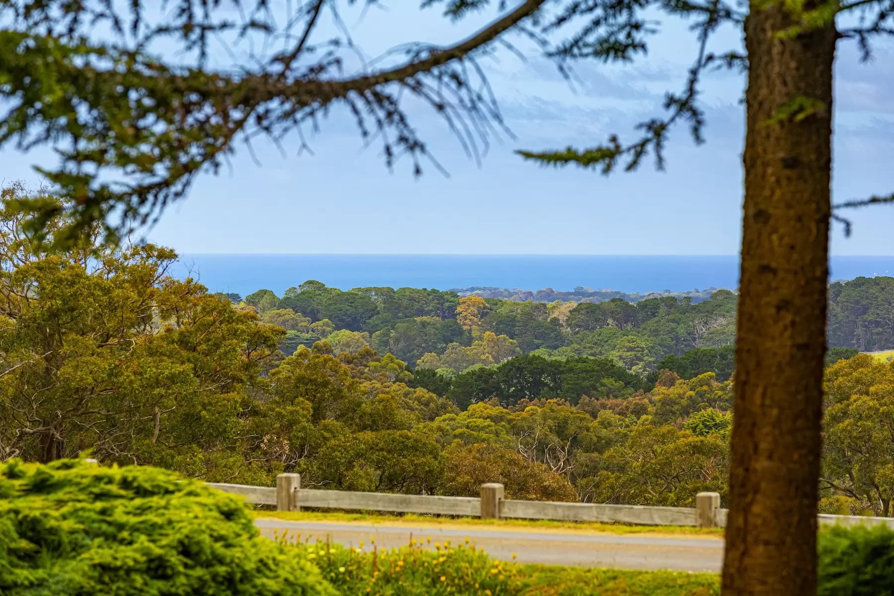 42 Ocean View Avenue, Red Hill South, Red Hill South - Thumbnail 7