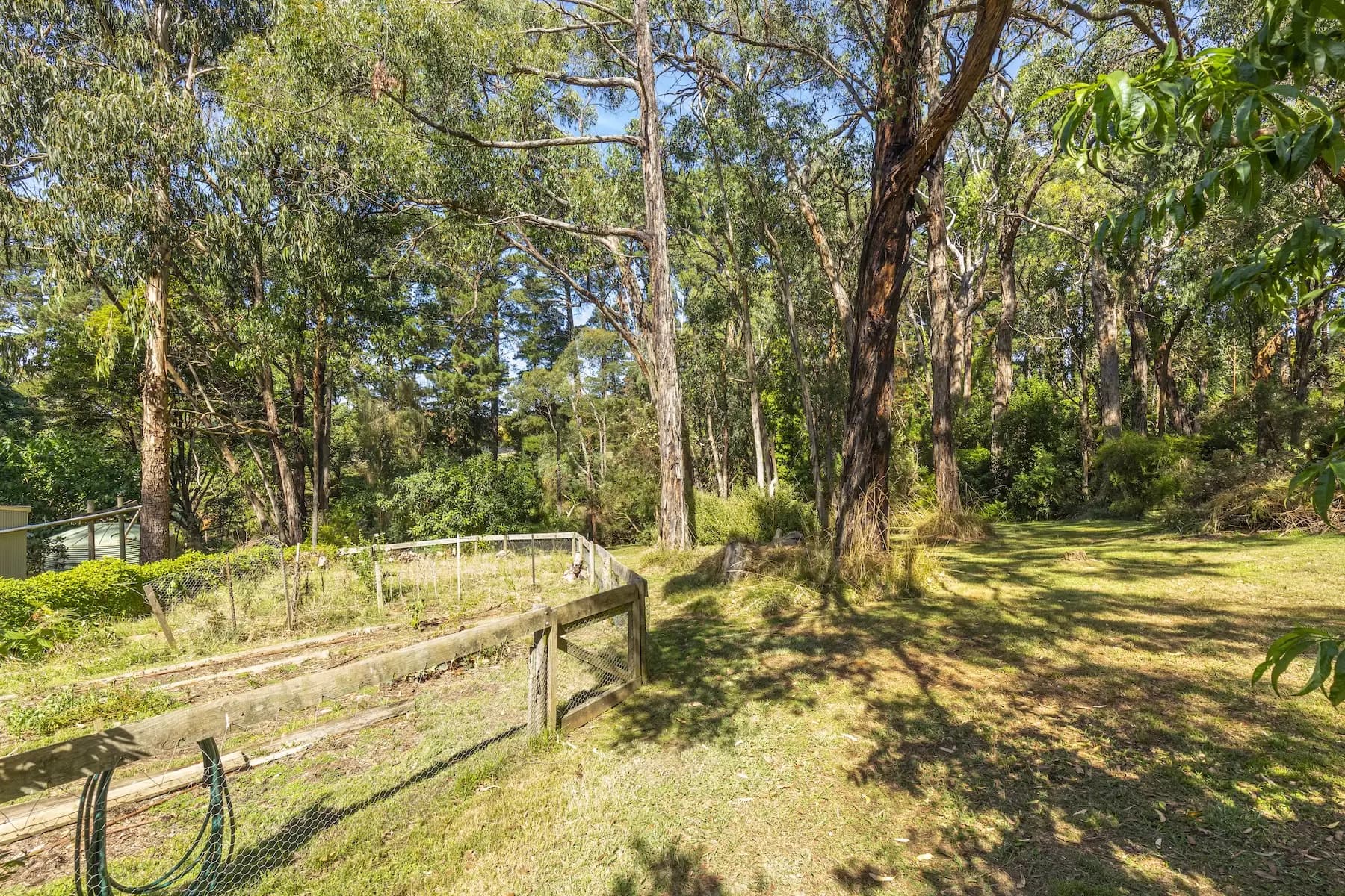 43 Beauford Road, Red Hill South, Red Hill South - Thumbnail 4