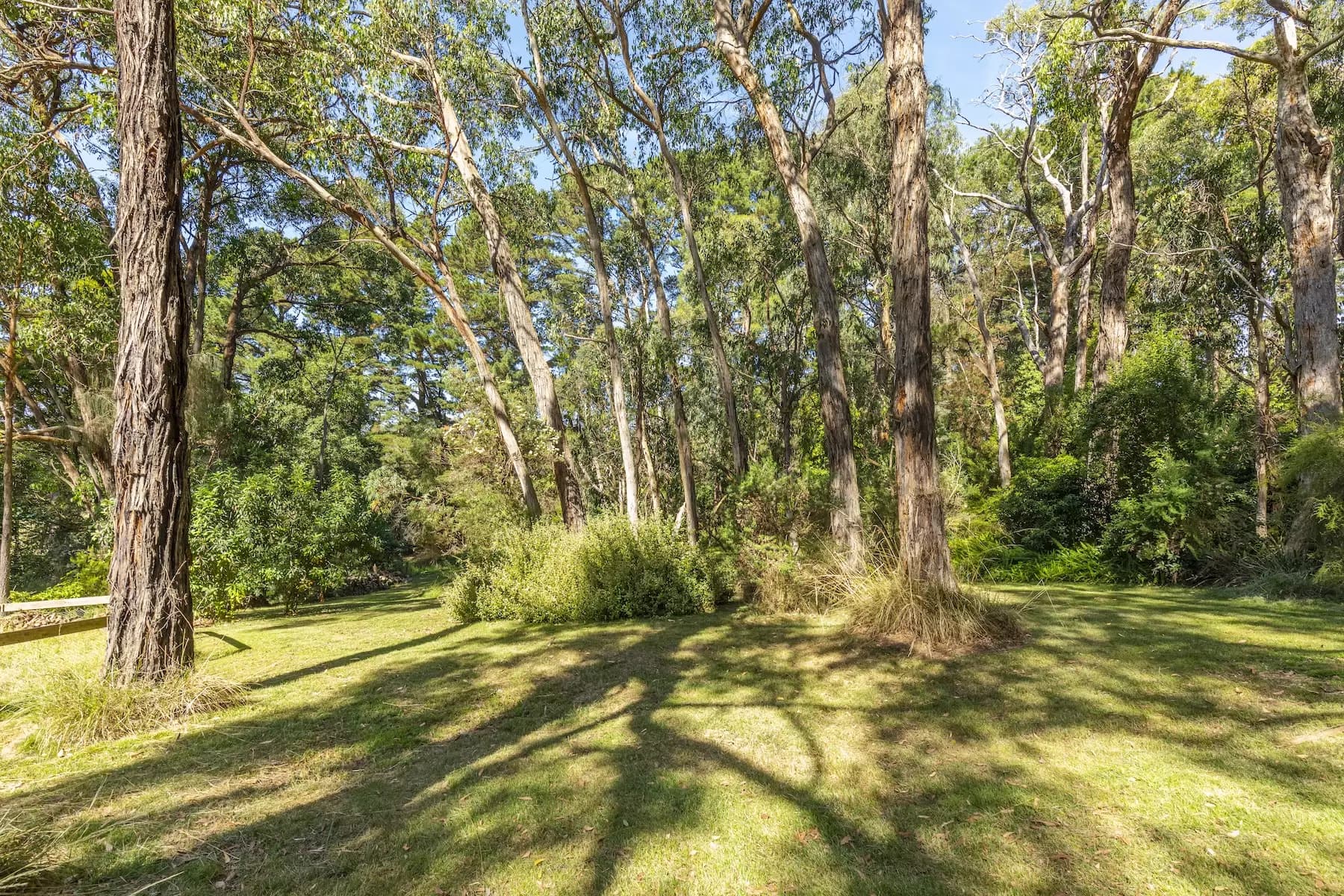 43 Beauford Road, Red Hill South, Red Hill South - Thumbnail 5