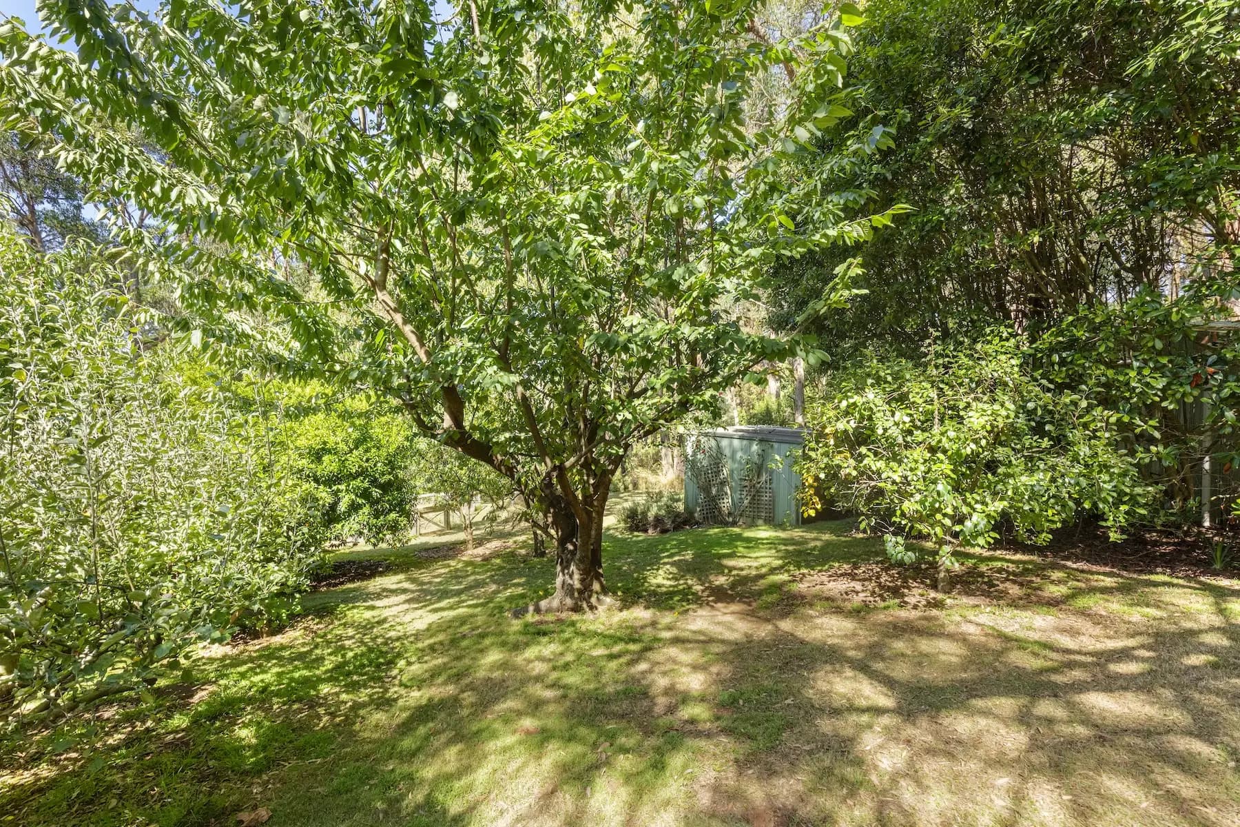 43 Beauford Road, Red Hill South, Red Hill South - Thumbnail 6