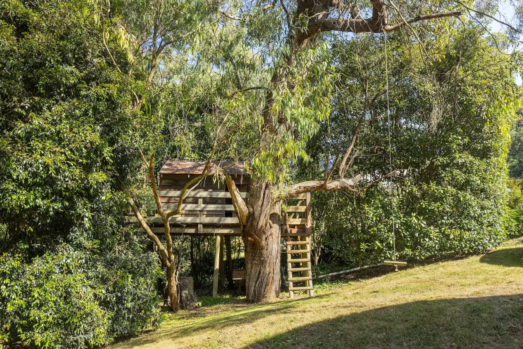 43 Beauford Road, Red Hill South, Red Hill South - Thumbnail 7