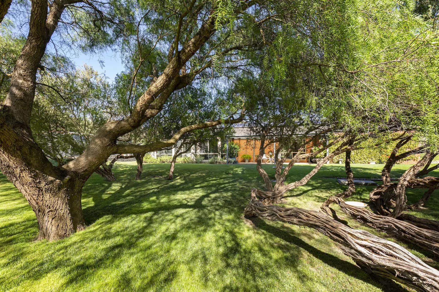 18 Alexandra Crescent, Rye, Rye - Thumbnail 5
