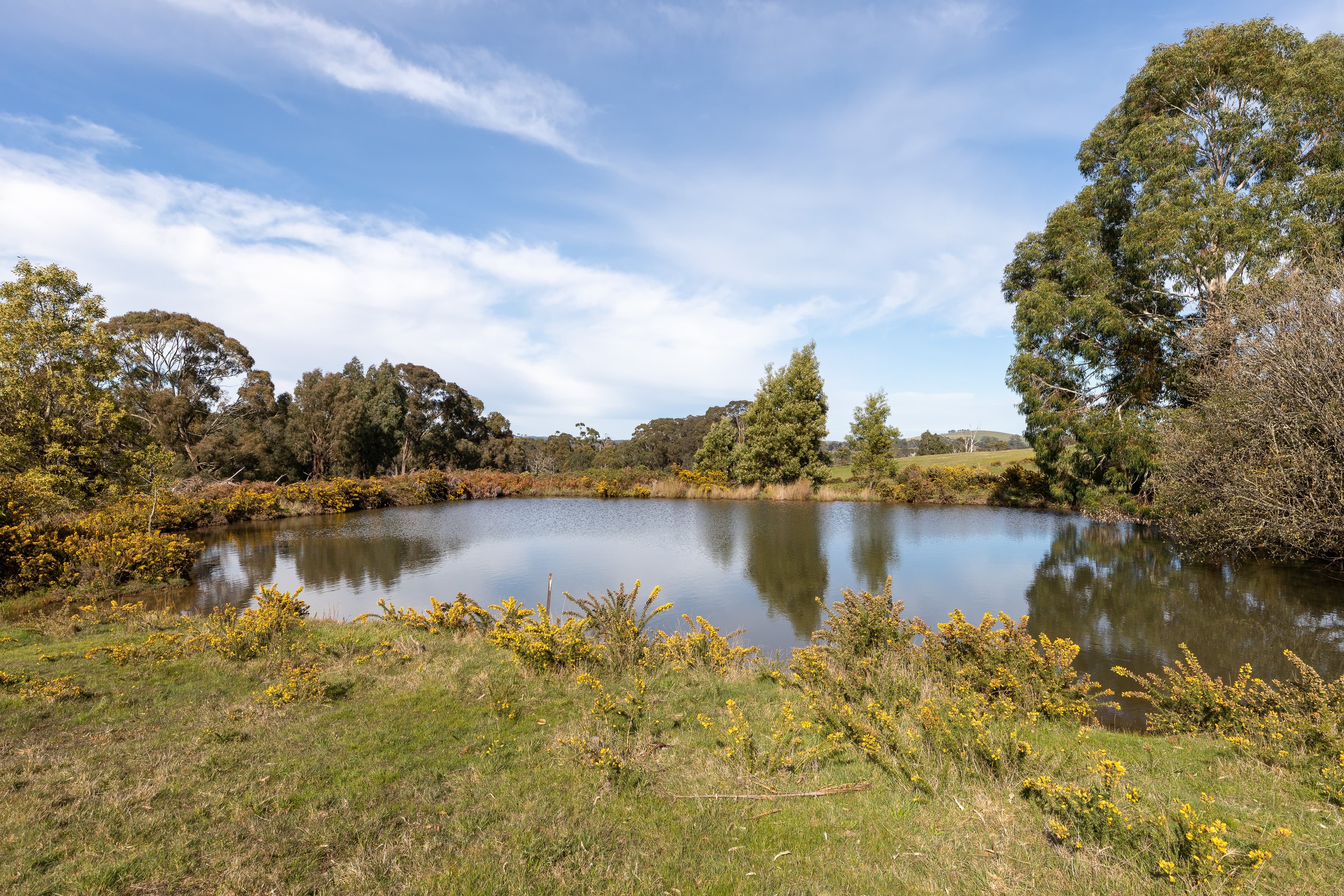 1090 Daylesford Malmsbury Road, Glenlyon, Glenlyon - Thumbnail 3