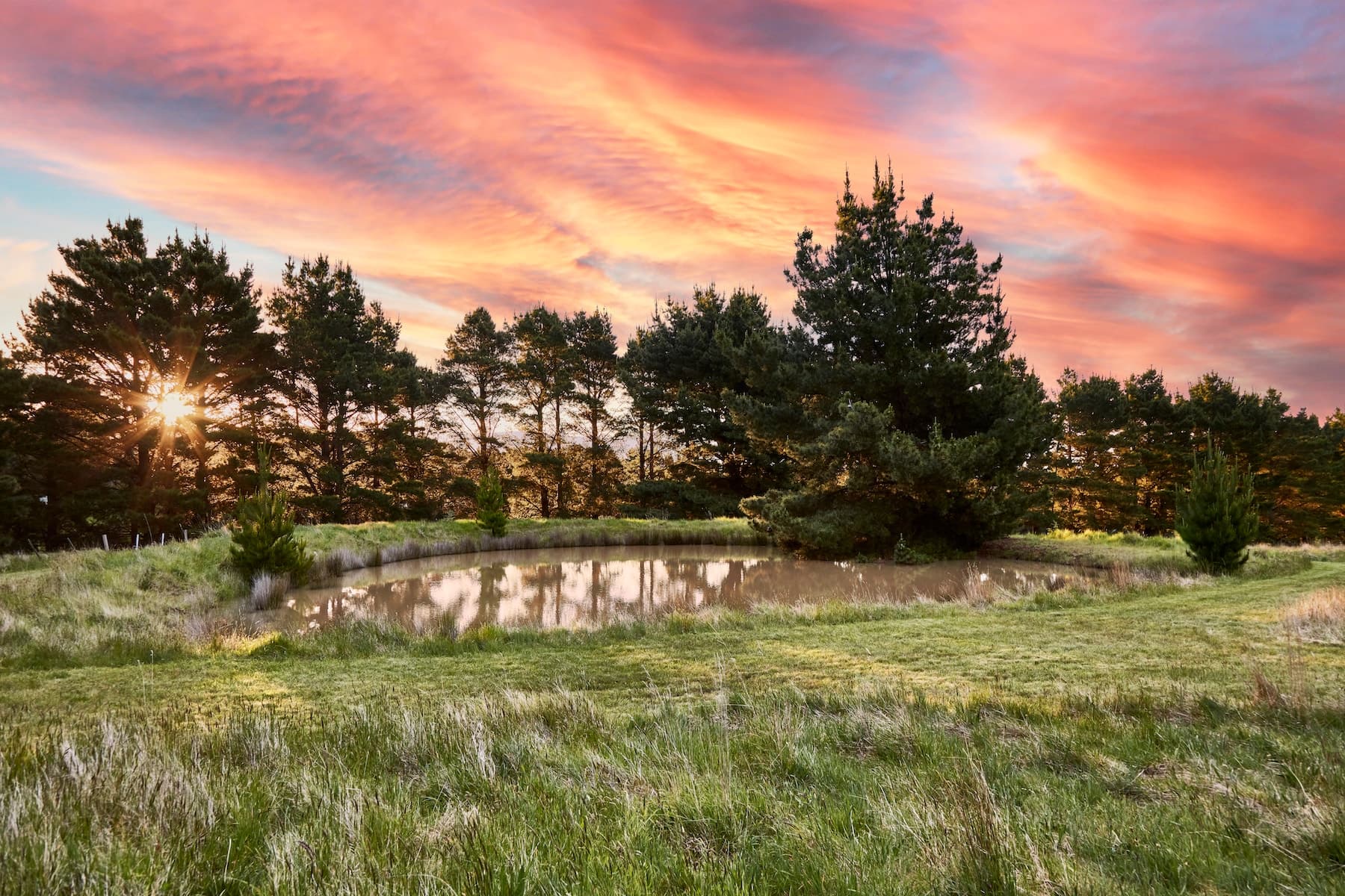 62 Duggan Road, Gisborne, Gisborne - Thumbnail 2