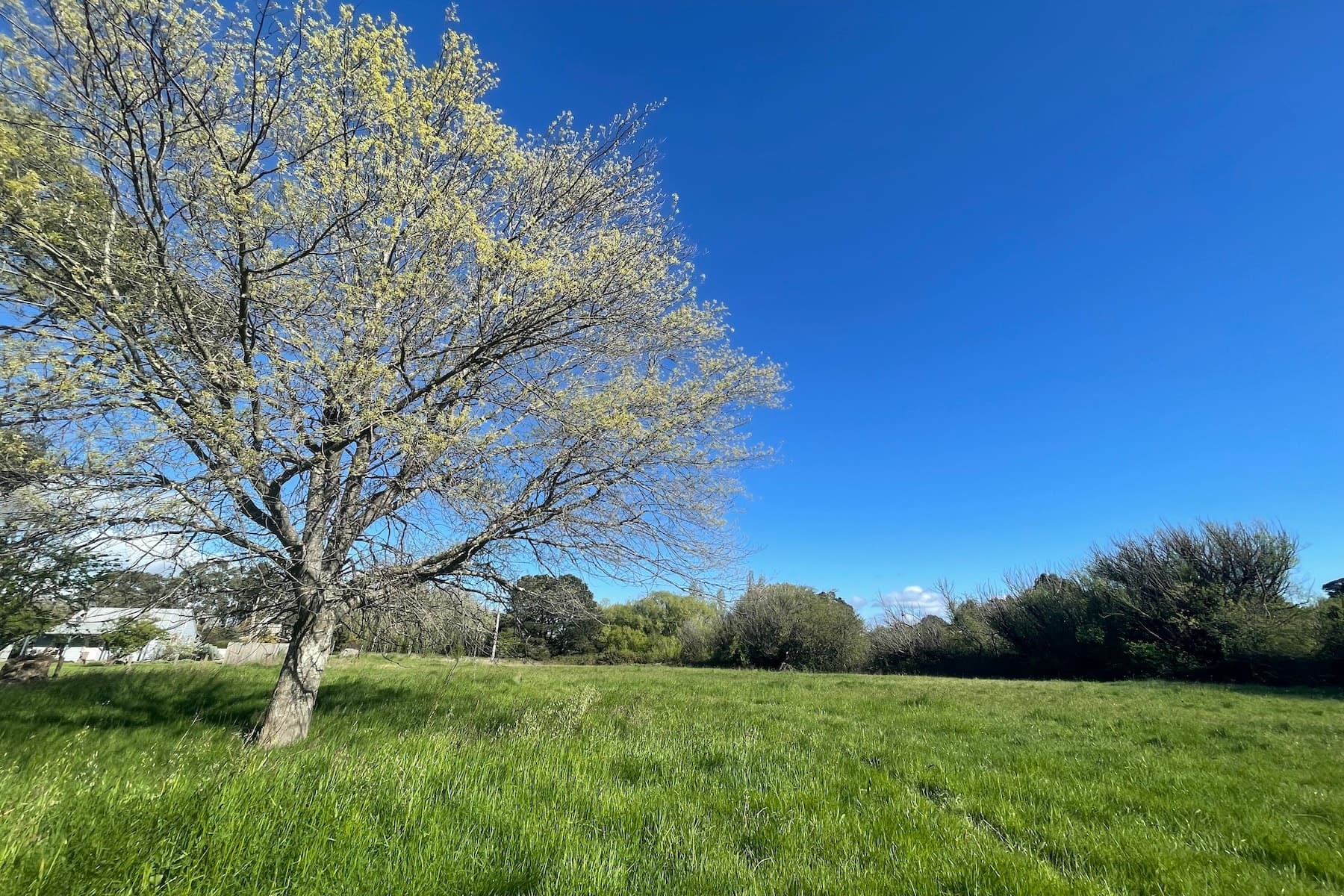 30 Ross Street, Malmsbury, Malmsbury - Thumbnail 2