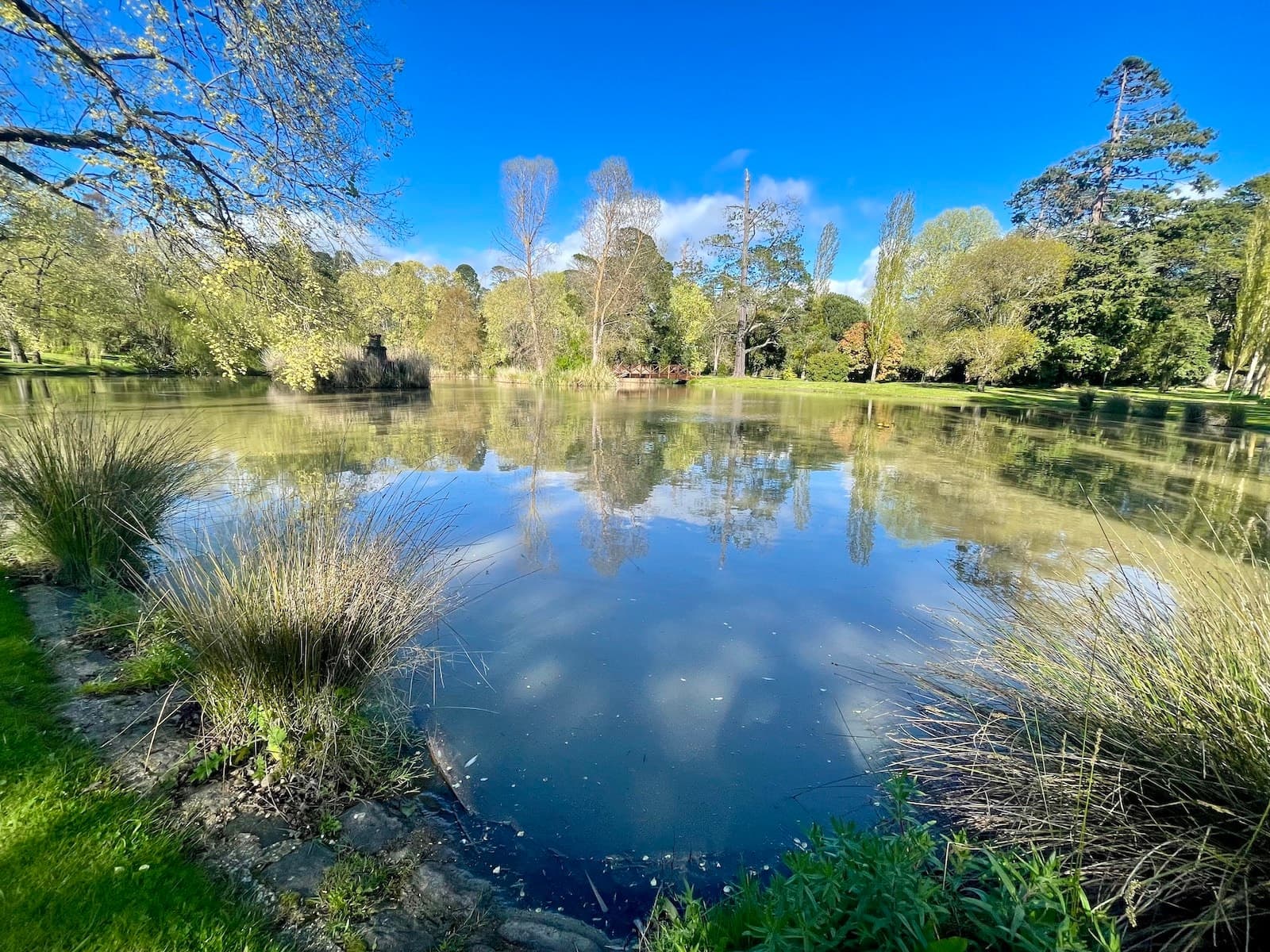 30 Ross Street, Malmsbury, Malmsbury - Thumbnail 3