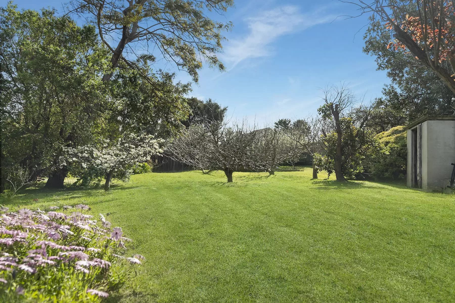 14 Normanby Road, Sorrento, Sorrento - Thumbnail 5