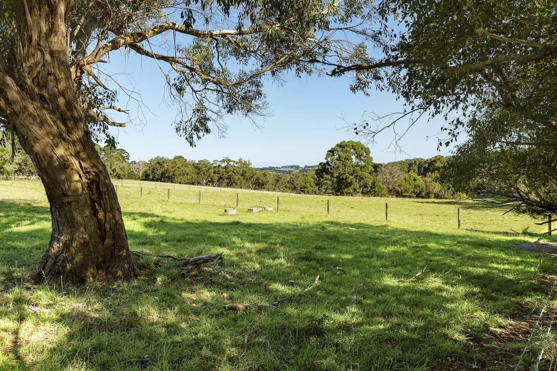 503 Purves Road, Main Ridge, Main Ridge - Thumbnail 3