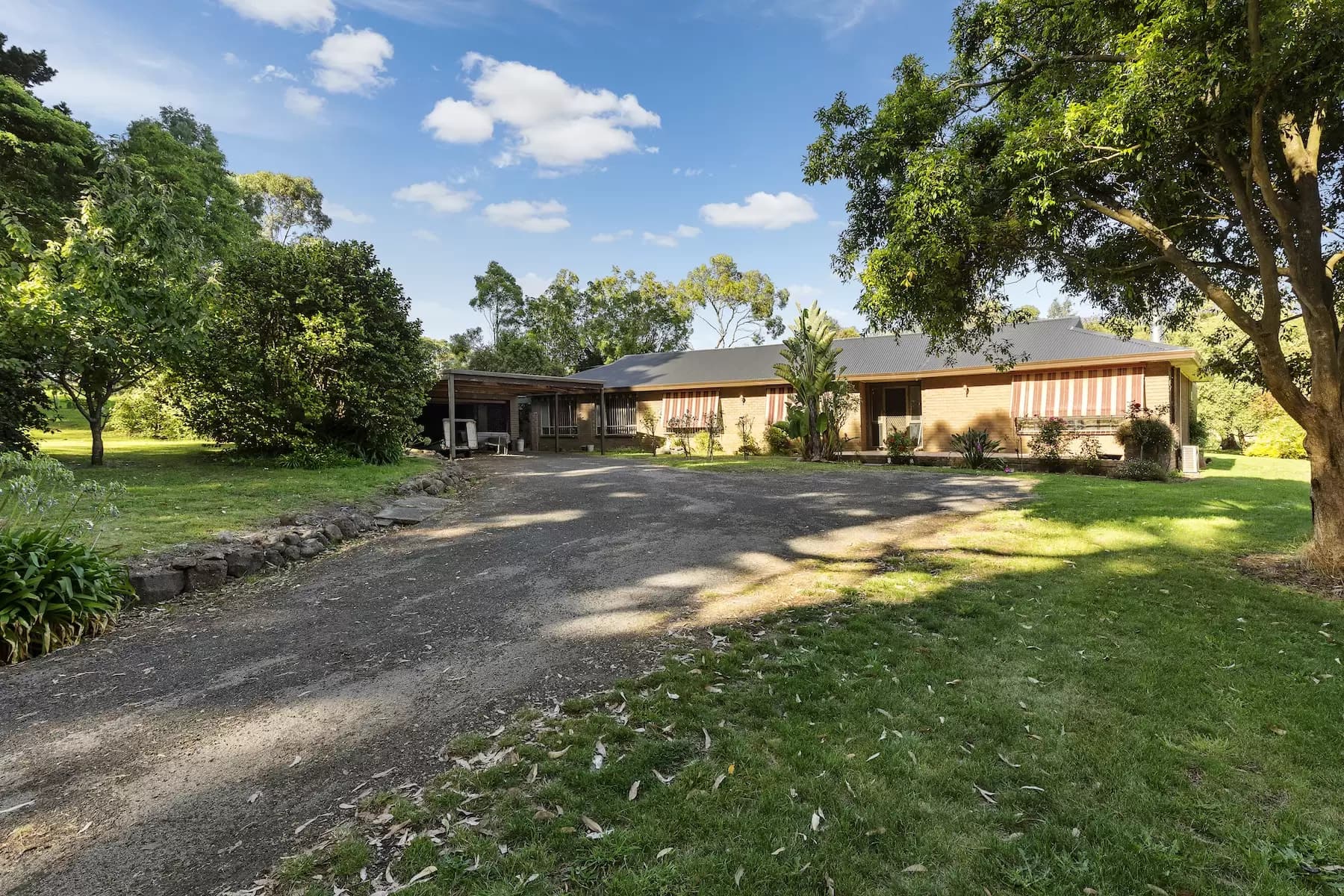 503 Purves Road, Main Ridge, Main Ridge - Thumbnail 6