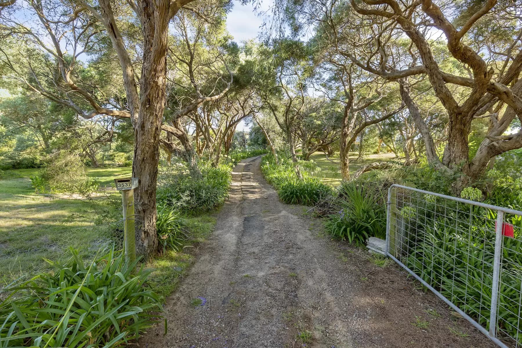 3537 Point Nepean Road, Sorrento, Sorrento - Thumbnail 8