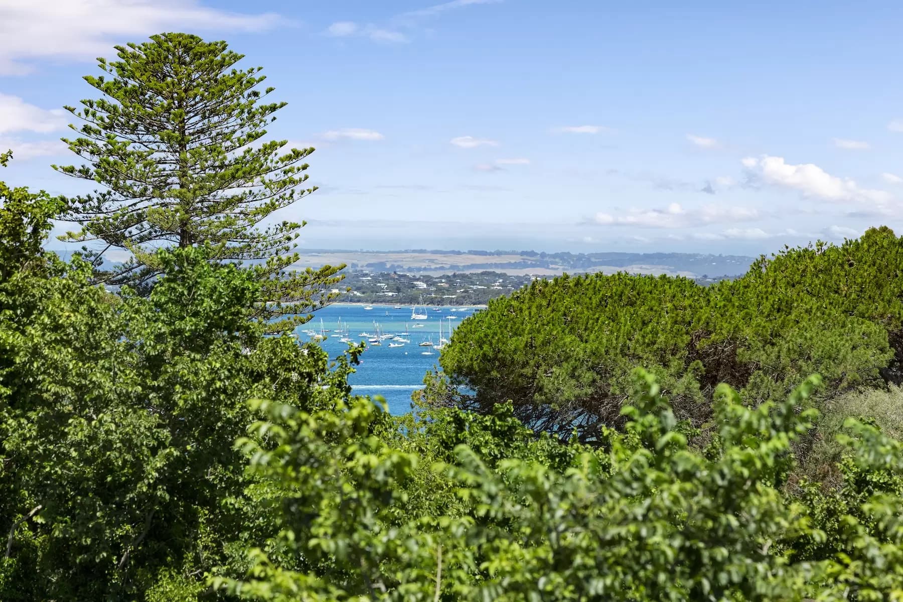 3513 Point Nepean Road, Sorrento, Sorrento - Thumbnail 4