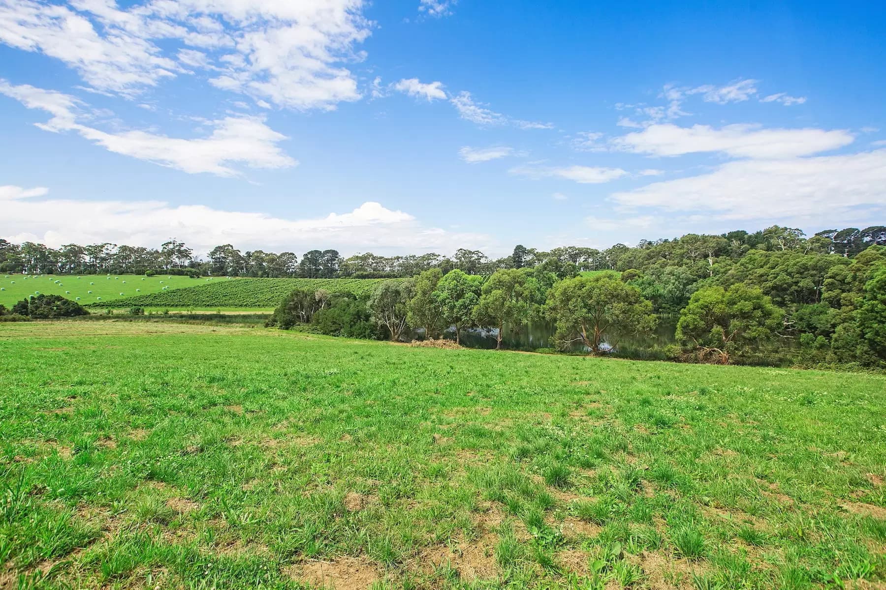 1369 Mornington Flinders Road, Main Ridge, Main Ridge - Thumbnail 4