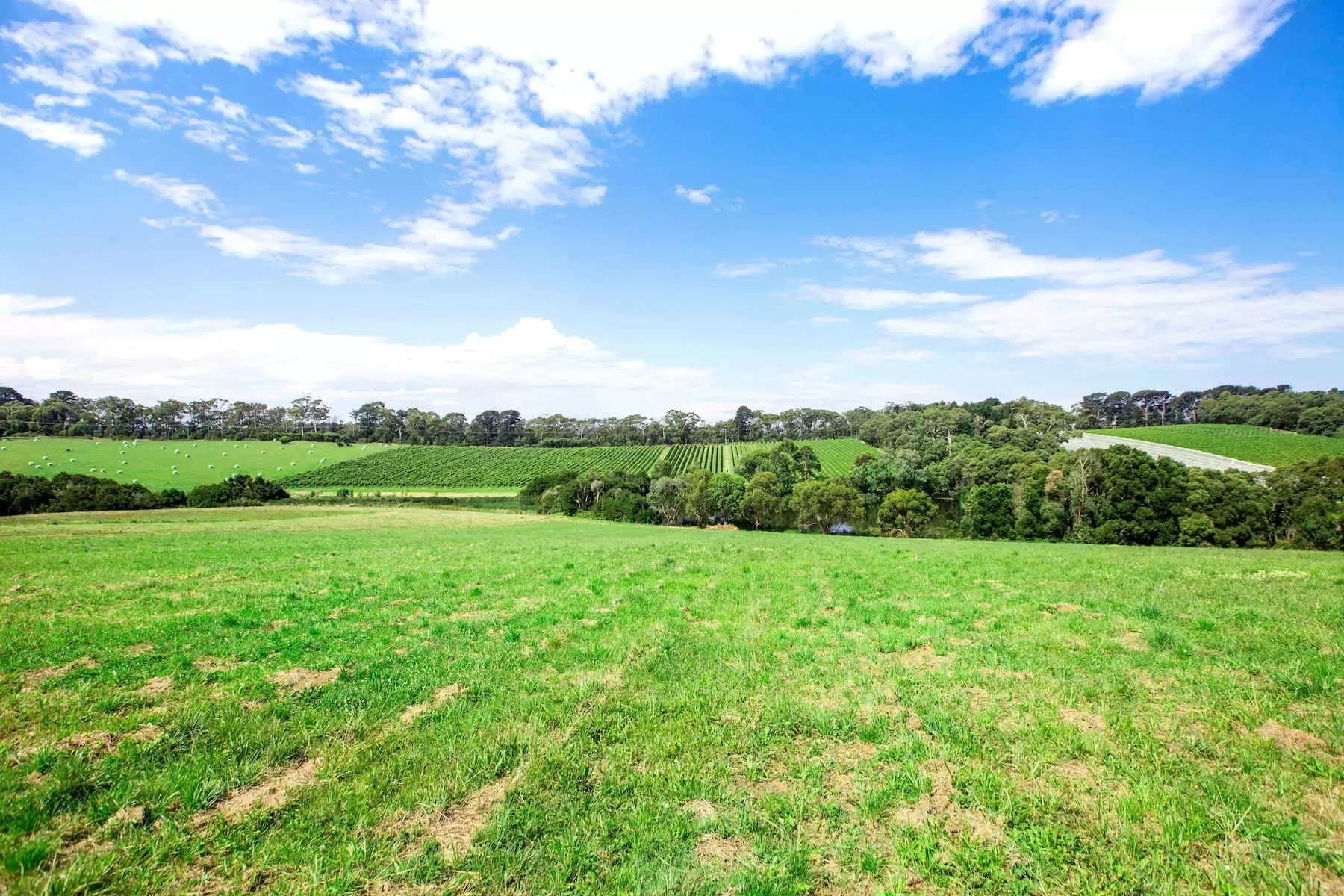1369 Mornington Flinders Road, Main Ridge, Main Ridge - Thumbnail 5