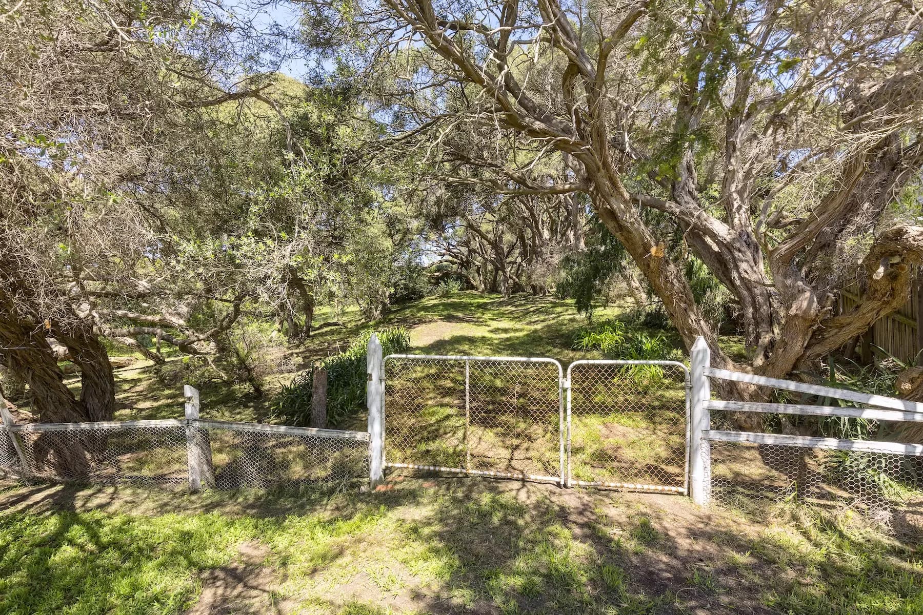 3207 Point Nepean Road, Sorrento, Sorrento - Thumbnail 4