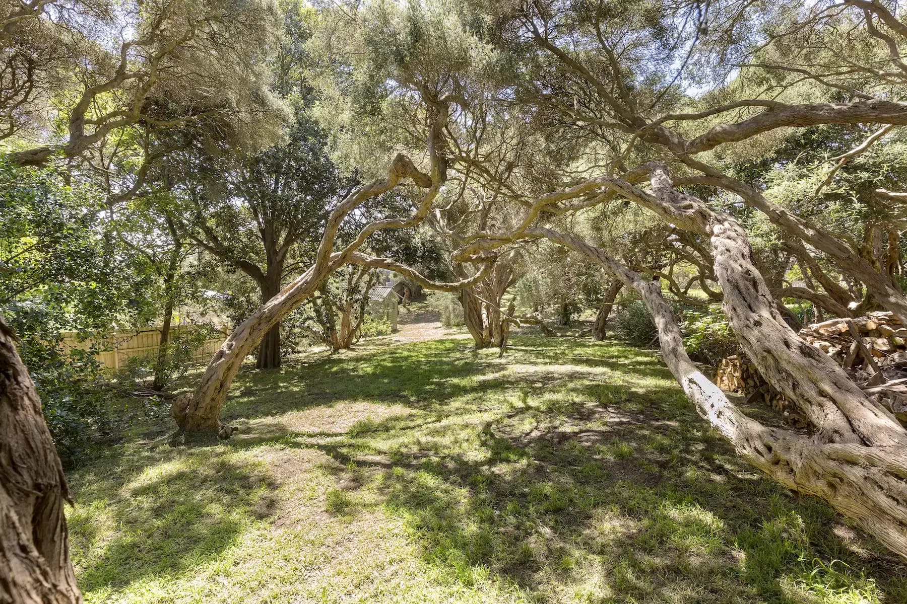 3207 Point Nepean Road, Sorrento, Sorrento - Thumbnail 6