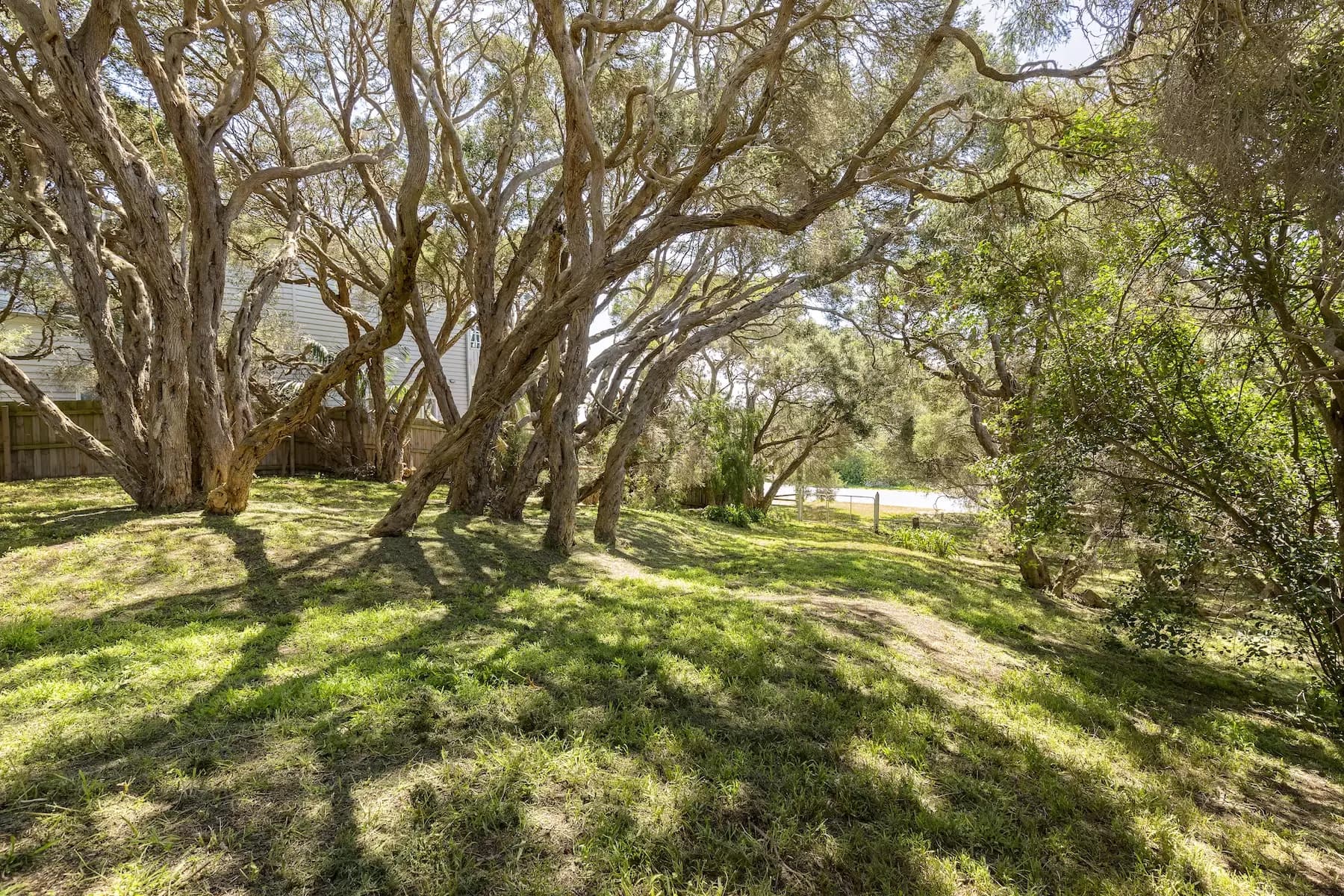 3207 Point Nepean Road, Sorrento, Sorrento - Thumbnail 8