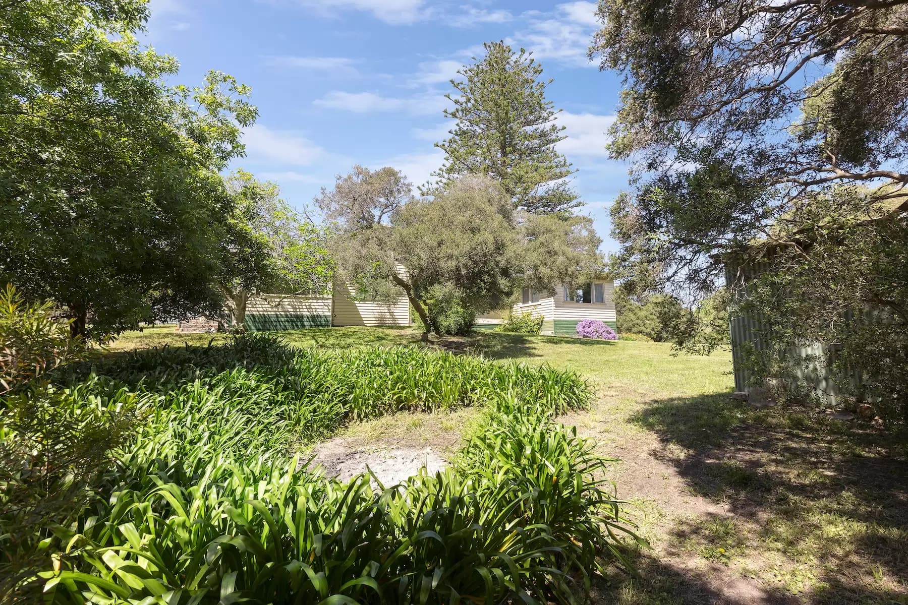 12 Rose Street, Sorrento, Sorrento - Thumbnail 6