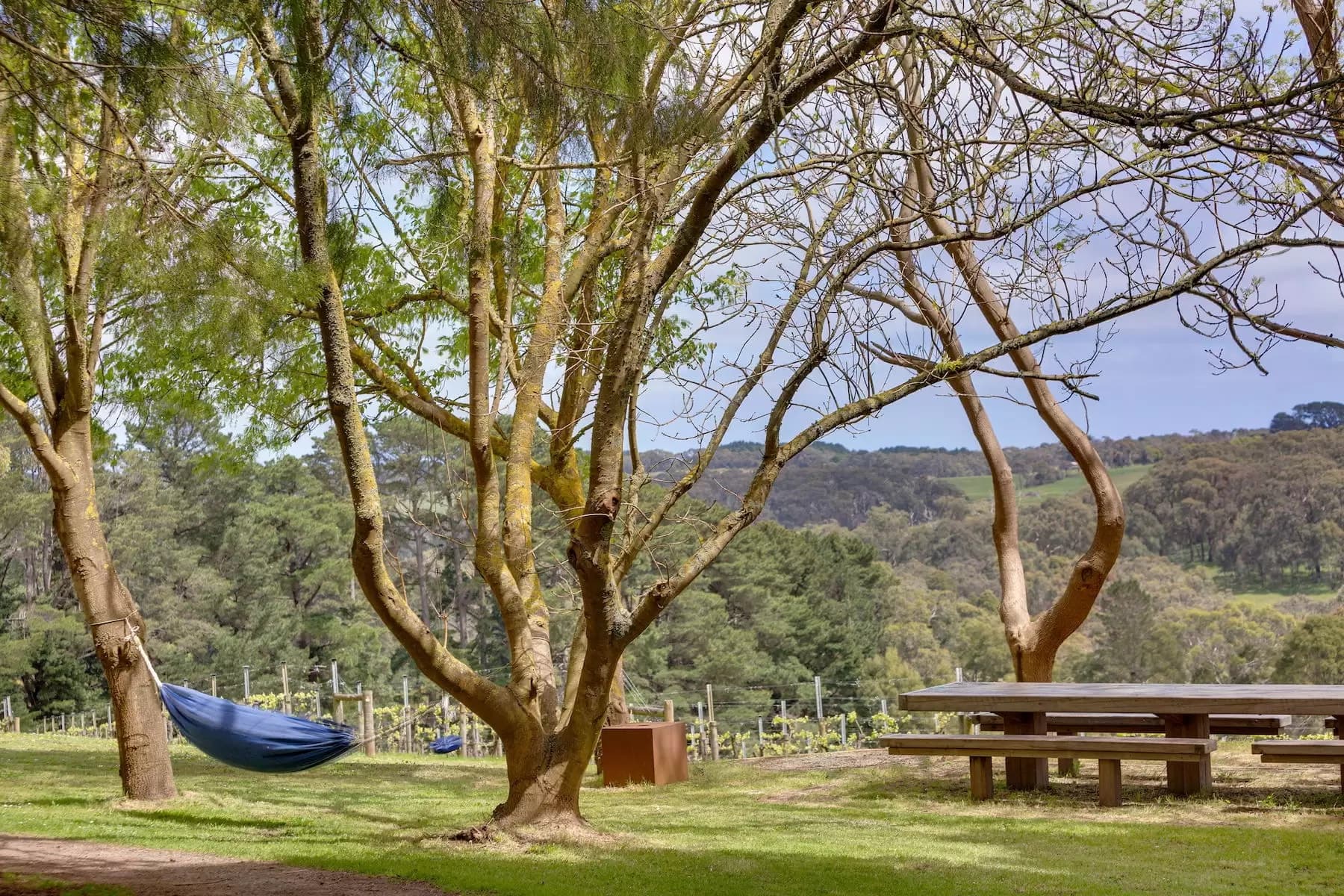 224 Main Creek Road, Main Ridge, Main Ridge - Thumbnail 3