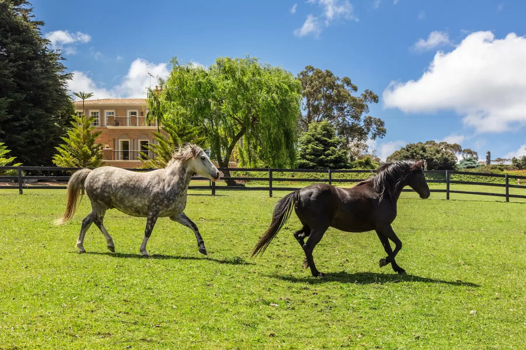 183 Musk Creek Road, Flinders, Flinders - Thumbnail 5