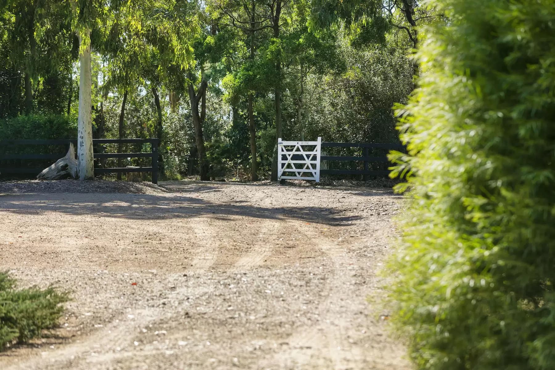 169 Musk Creek Road, Flinders, Flinders - Thumbnail 3