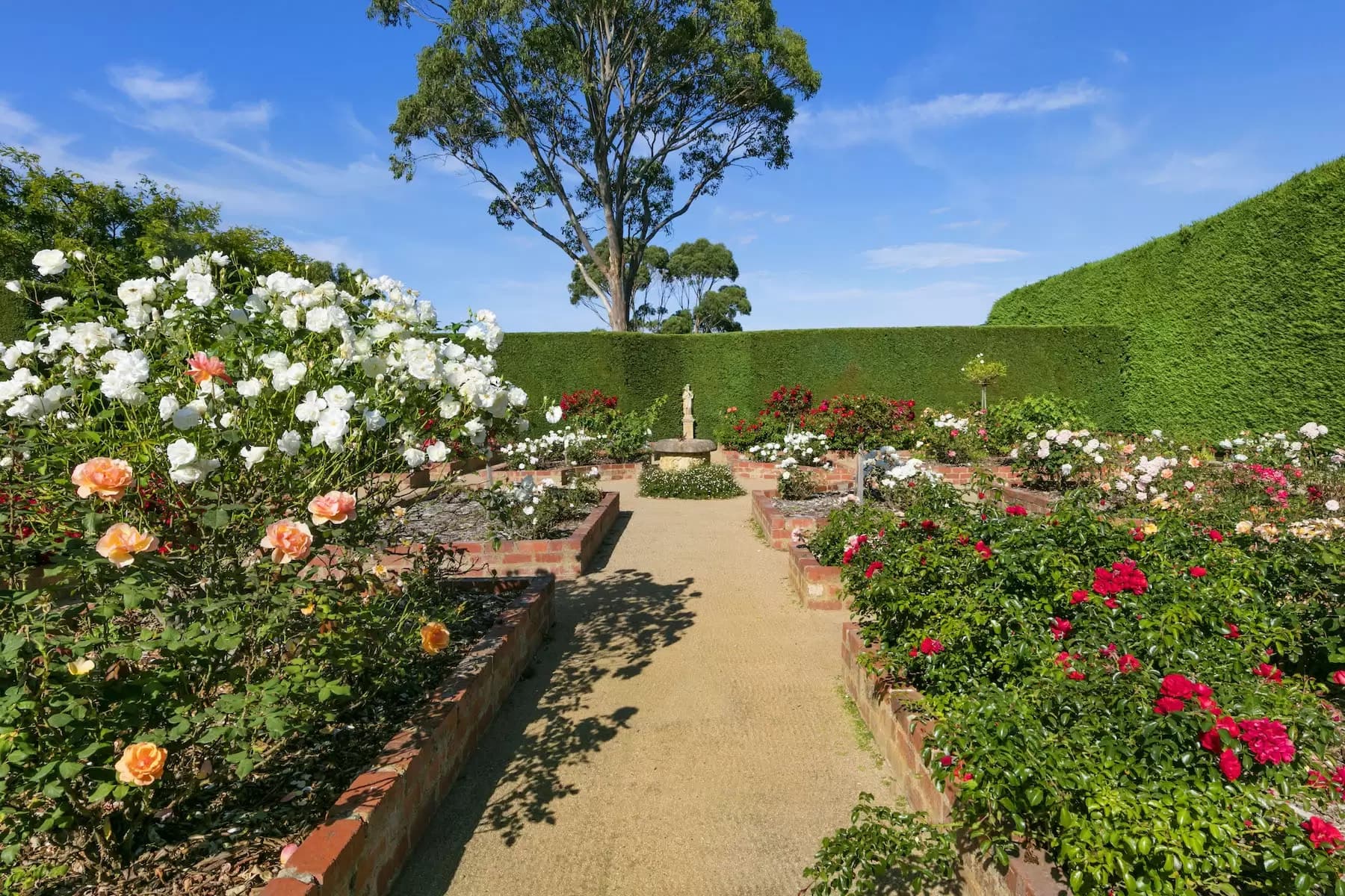 169 Musk Creek Road, Flinders, Flinders - Thumbnail 5
