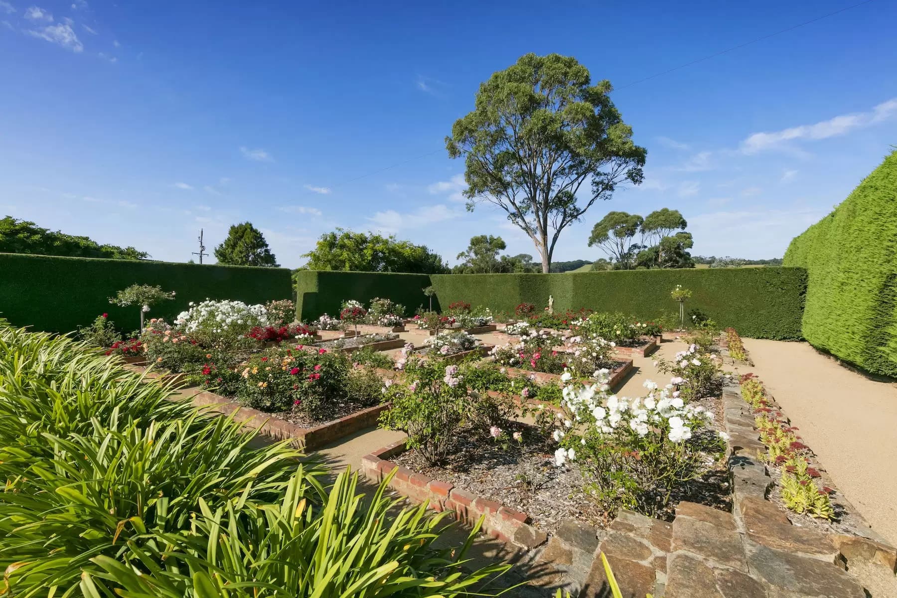 169 Musk Creek Road, Flinders, Flinders - Thumbnail 6