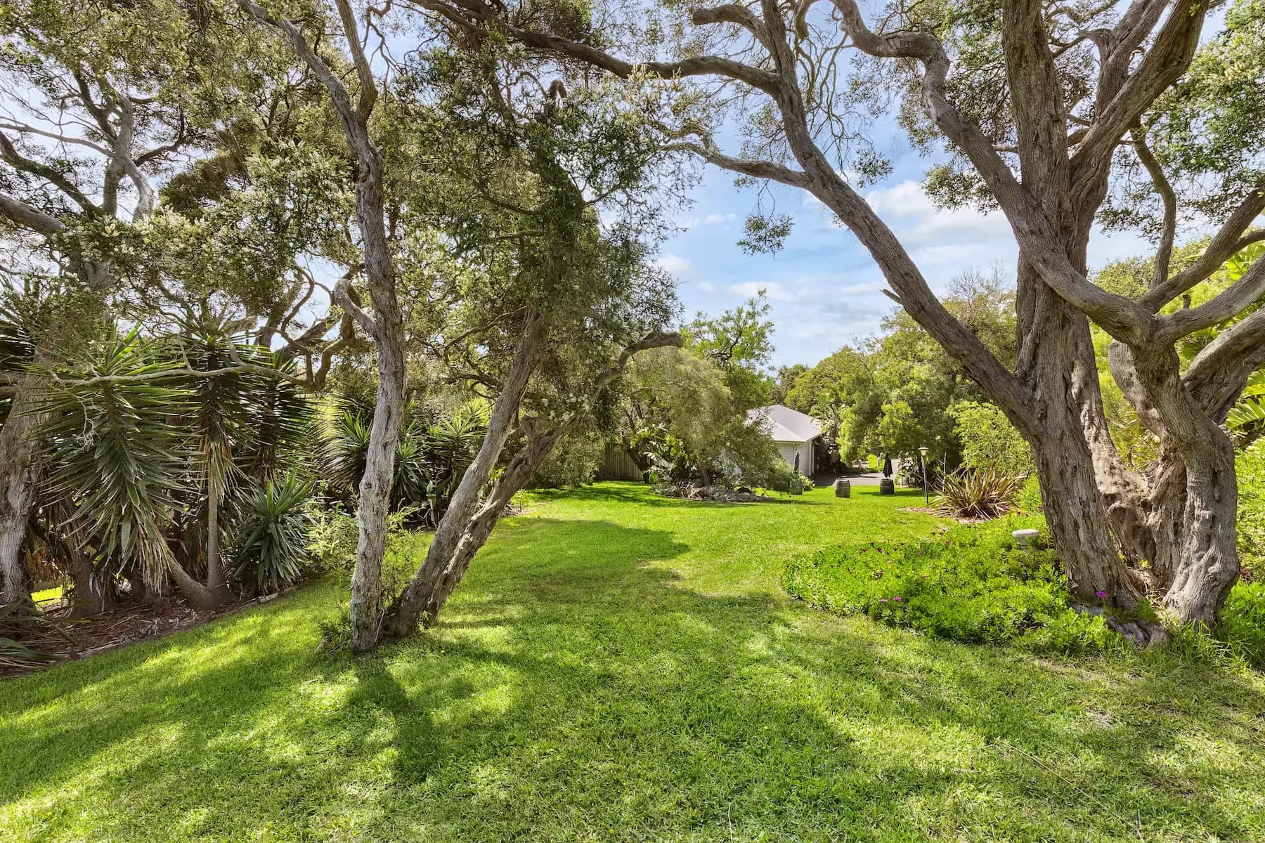 3209 Point Nepean Road, Sorrento, Sorrento - Thumbnail 4
