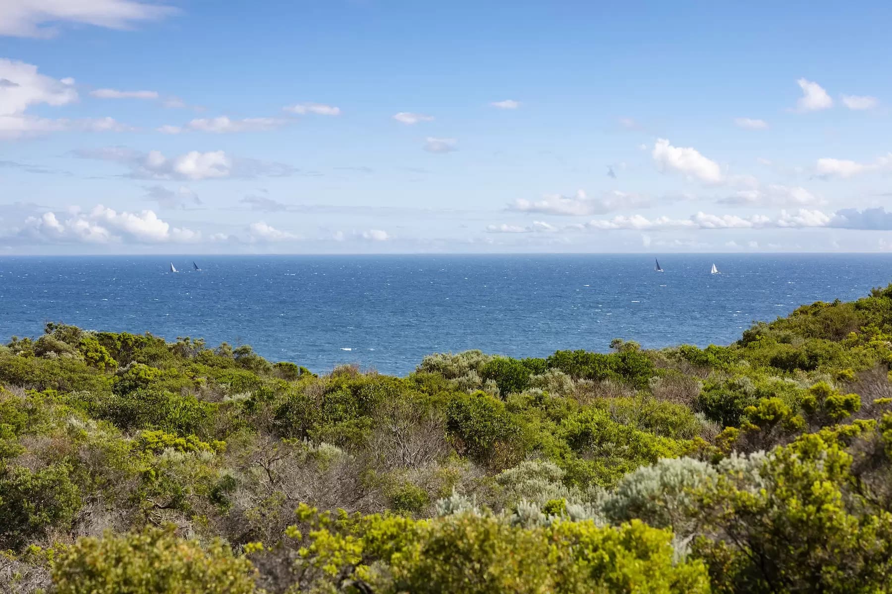 16 Paringa Road, Portsea, Portsea - Image 1