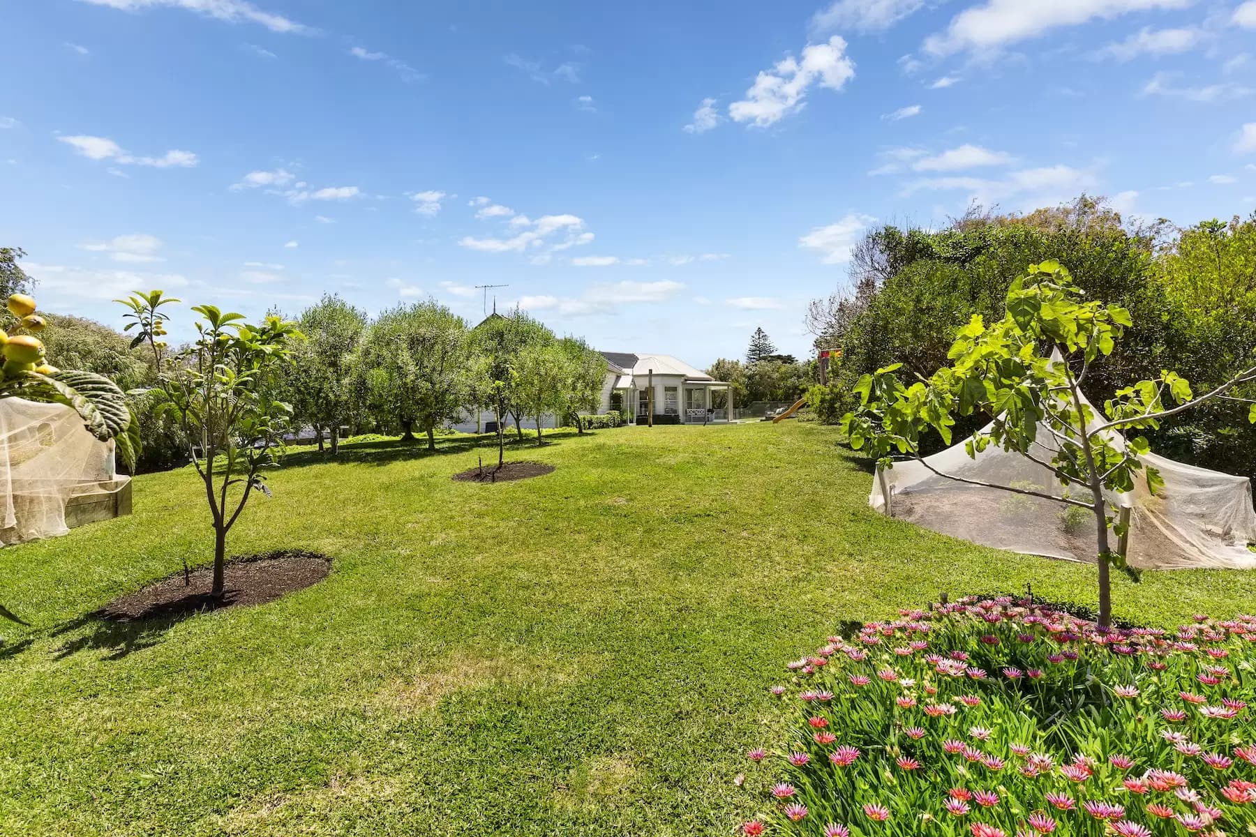 31  Salonika Street, Sorrento, Sorrento - Thumbnail 7