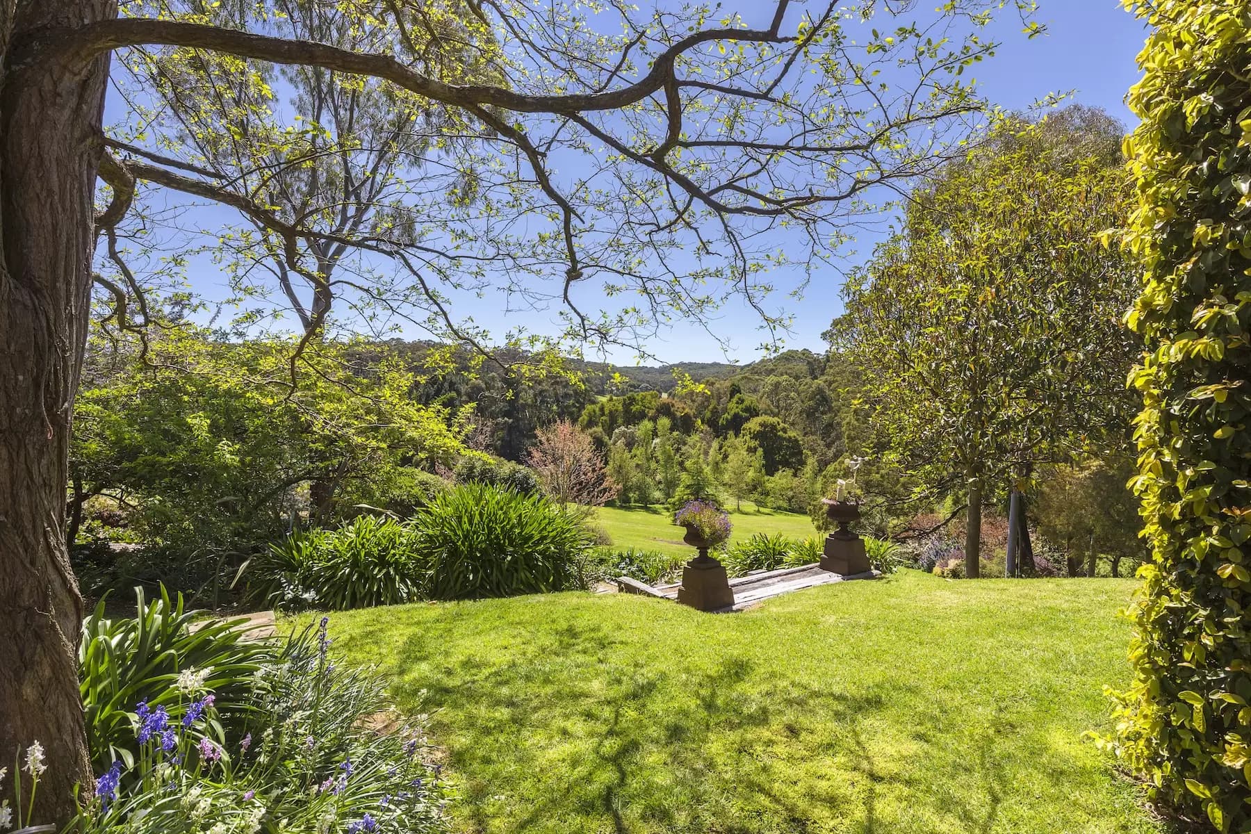 83 Tucks Road, Main Ridge, Main Ridge - Thumbnail 3