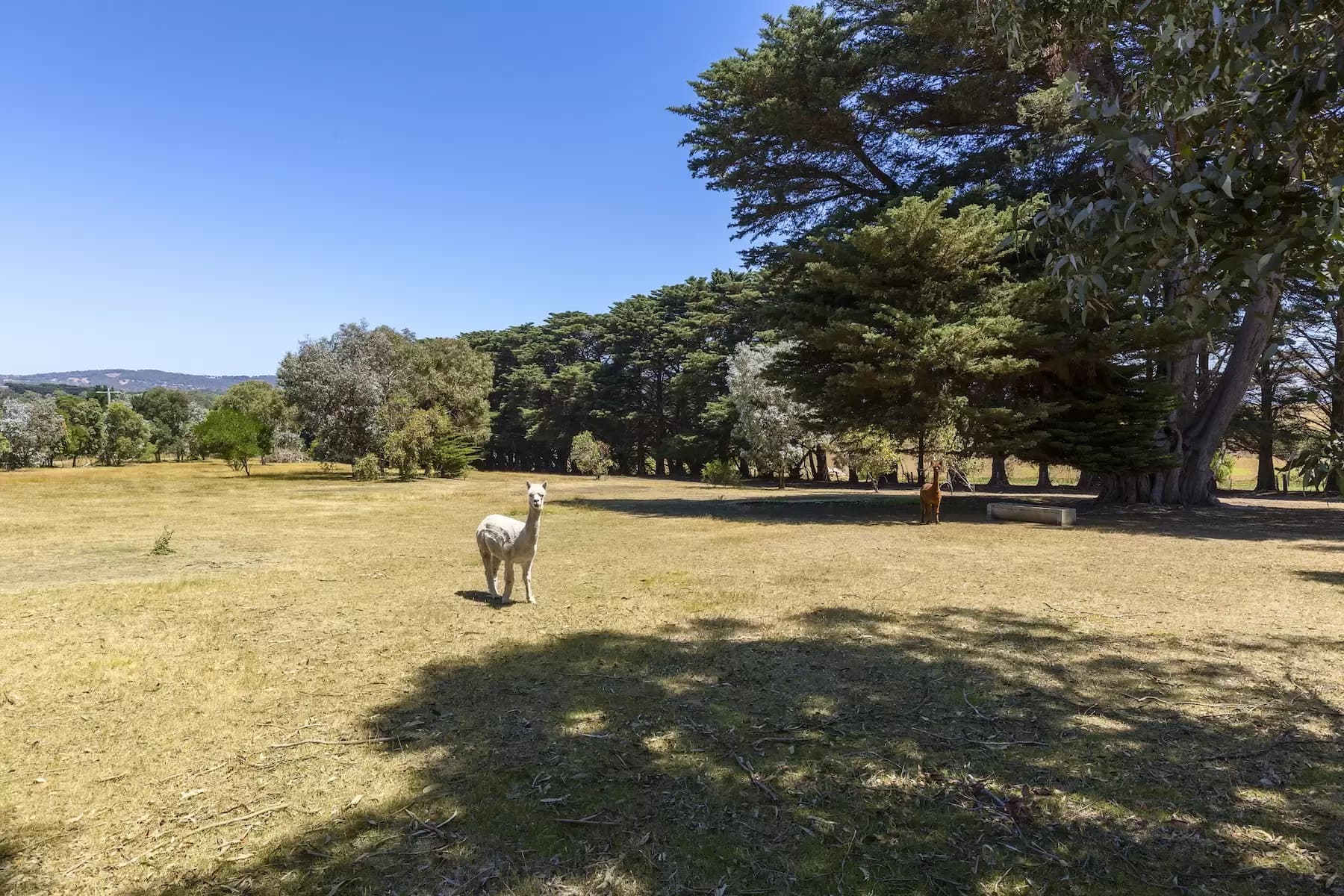 245 Nepean Highway, Mount Martha, Mount Martha - Thumbnail 8