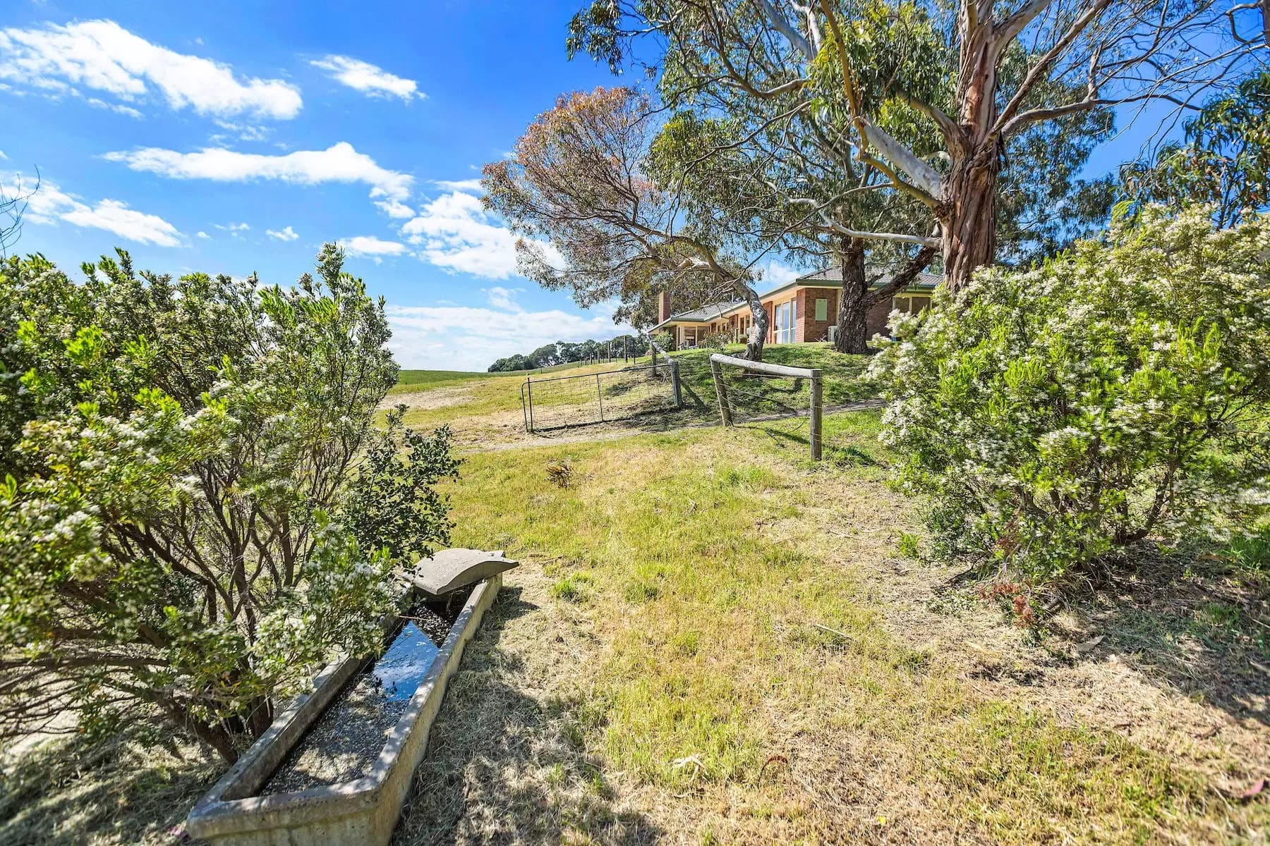 201 Sandy Road, Fingal, Fingal - Thumbnail 4