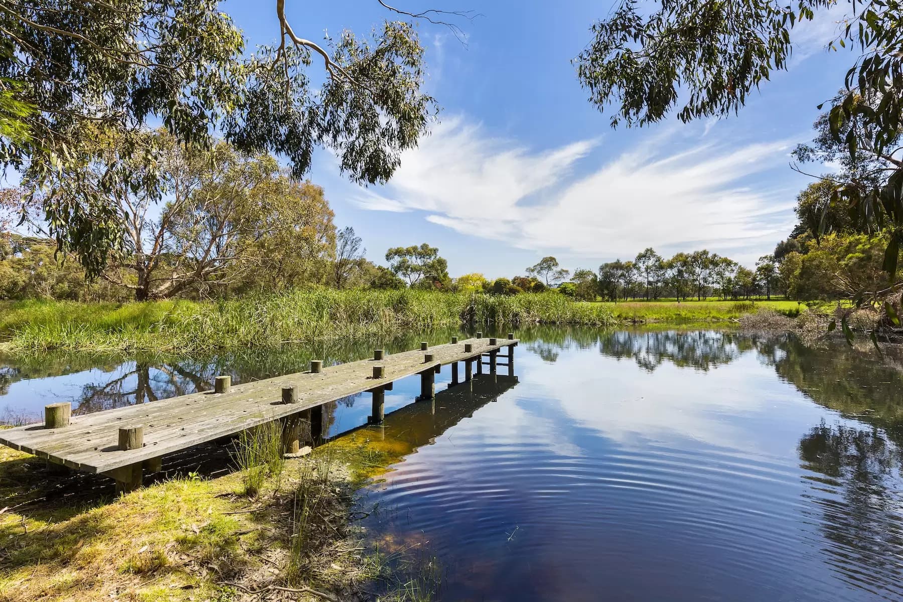 130 Hendersons Road, Bittern, Bittern - Image 1